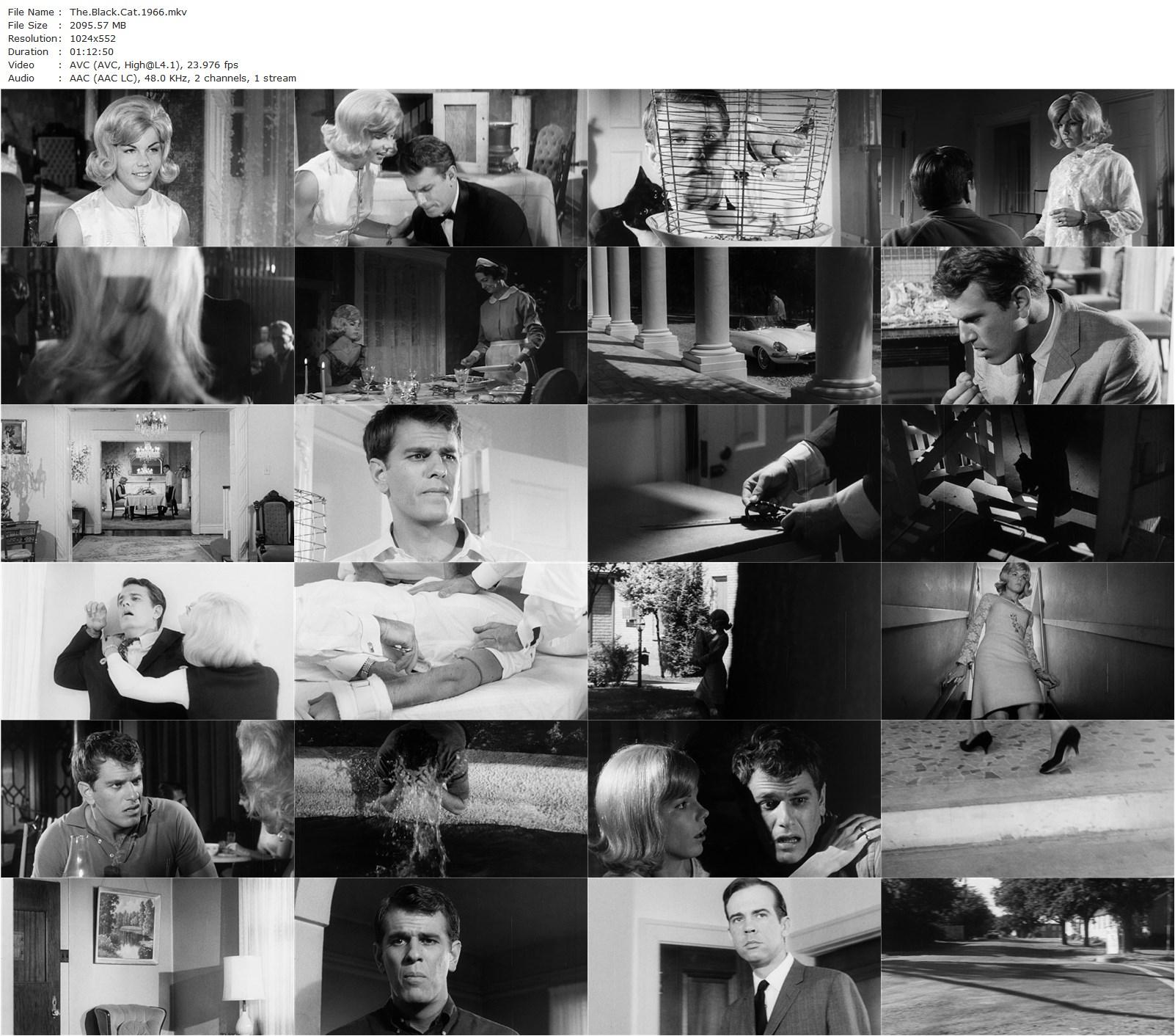 The Black Cat (1966) Harold Hoffman, Robert Frost, Robyn Baker, Sadie French-poster