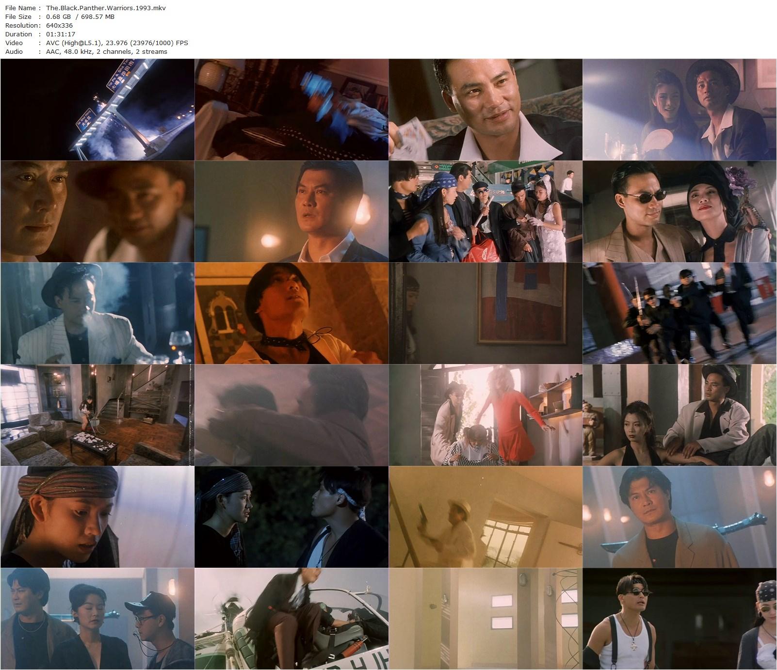 The Black Panther Warriors / Hak pau tin ha (1993) Clarence Fok, Alan Tang, Brigitte Lin, Dicky Cheung-poster