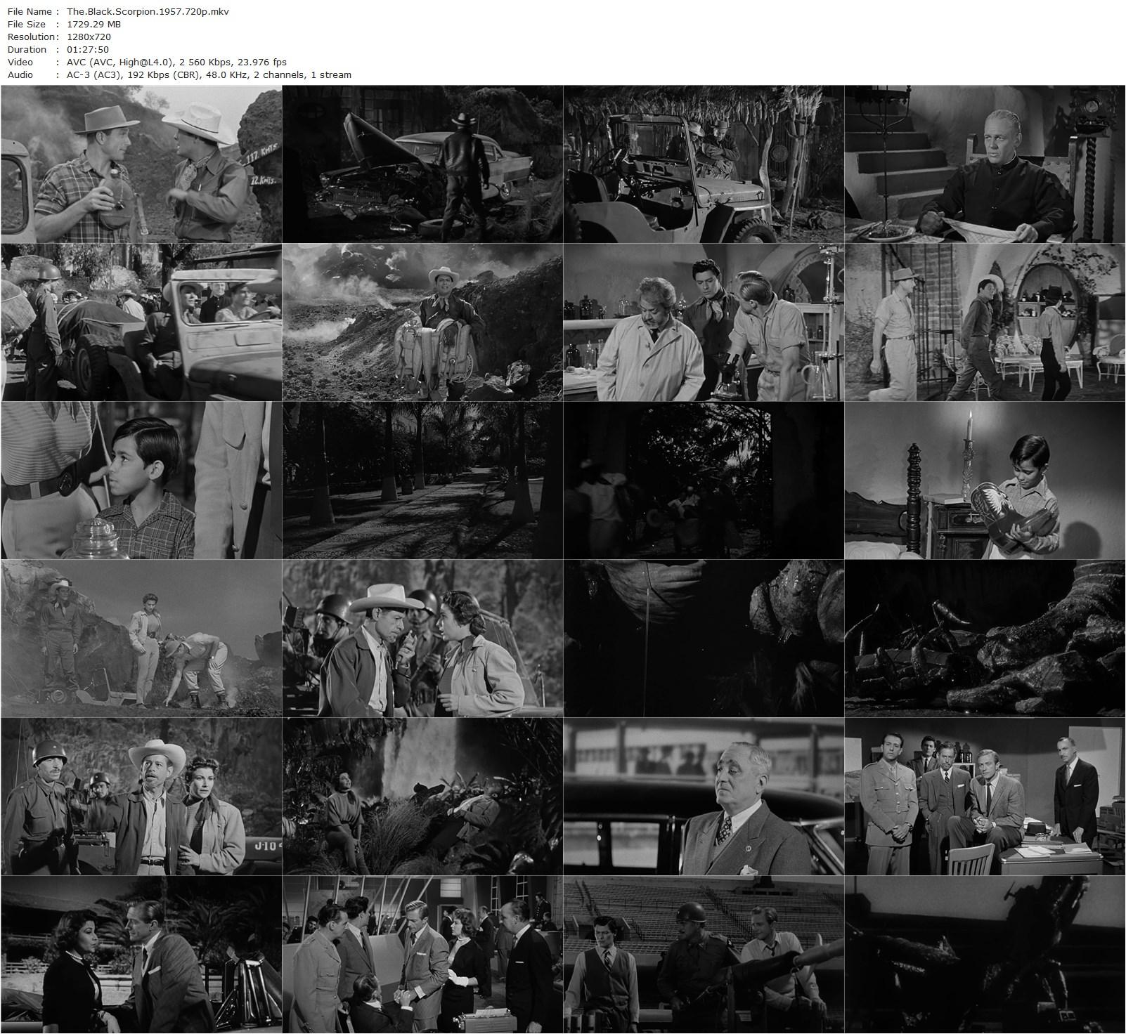 The Black Scorpion (1957) Edward Ludwig, Richard Denning, Mara Corday, Carlos Rivas-poster