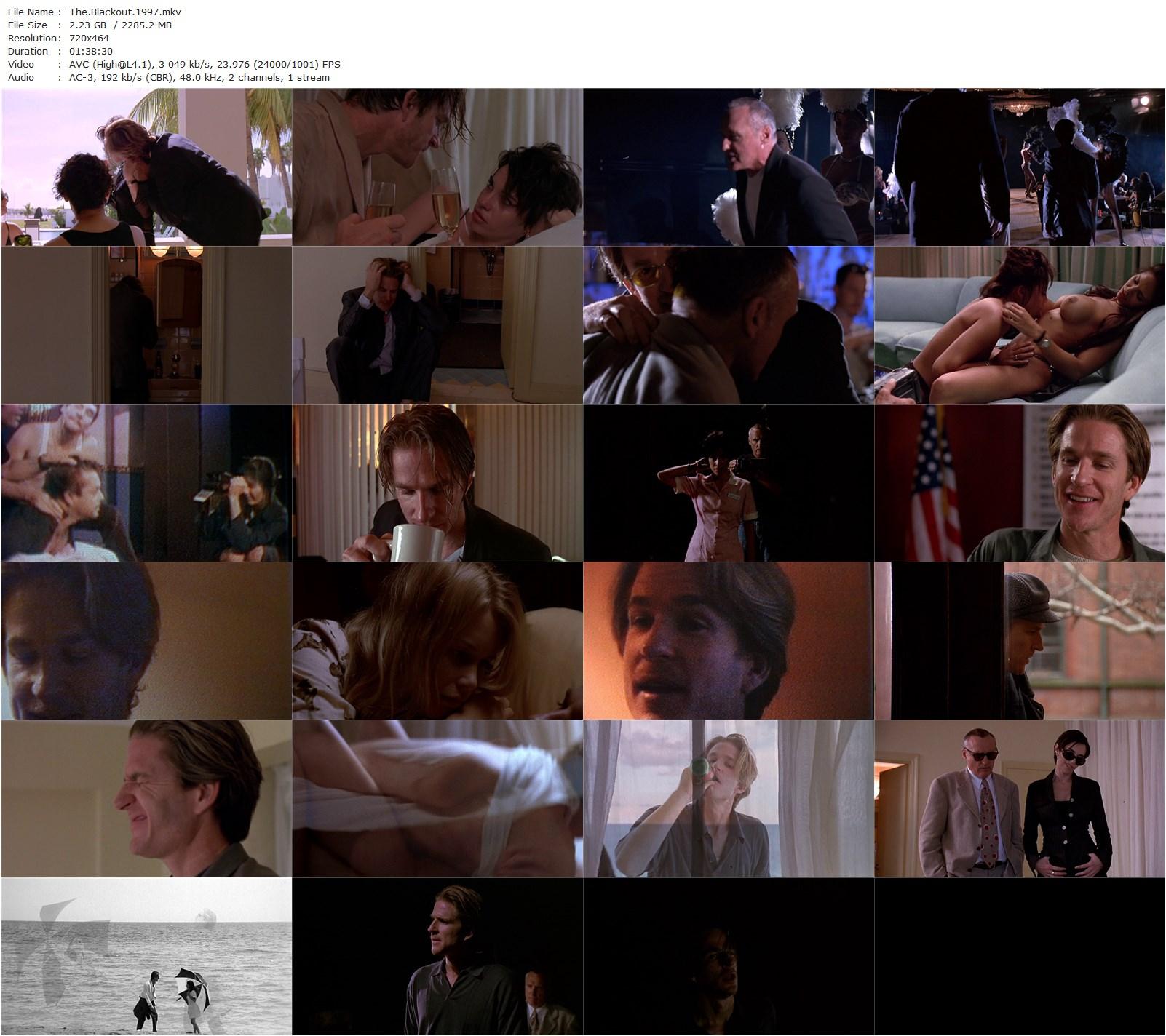 The Blackout (1997) Abel Ferrara, Matthew Modine, Claudia Schiffer, Béatrice Dalle-poster