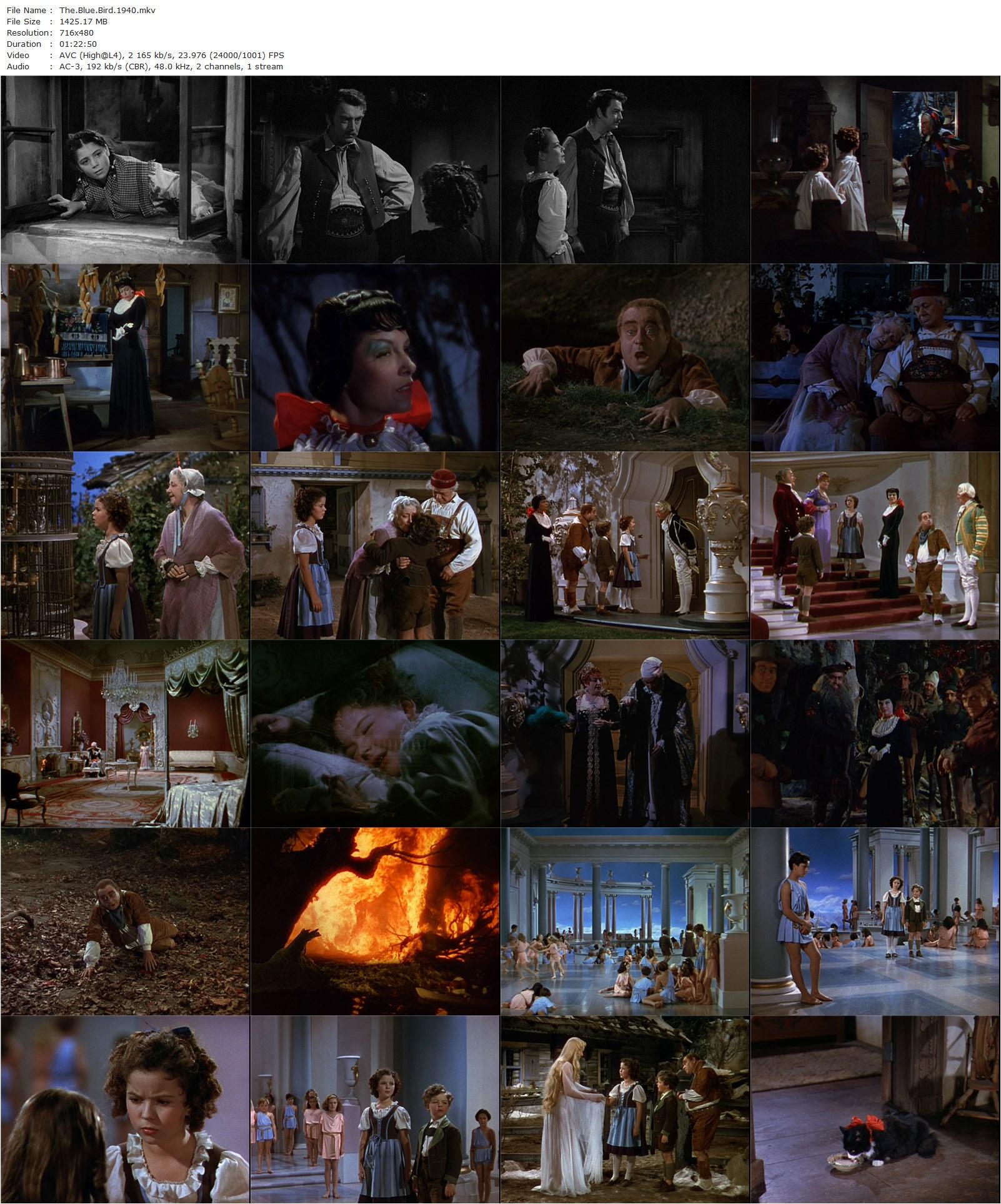 The Blue Bird (1940) Walter Lang, Shirley Temple, Spring Byington, Nigel Bruce-poster