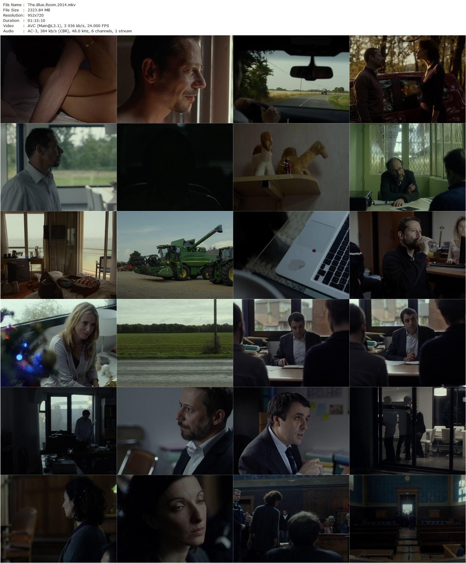 The Blue Room AKA La chambre bleue (2014) Mathieu Amalric, Léa Drucker, Stéphanie Cléau-poster