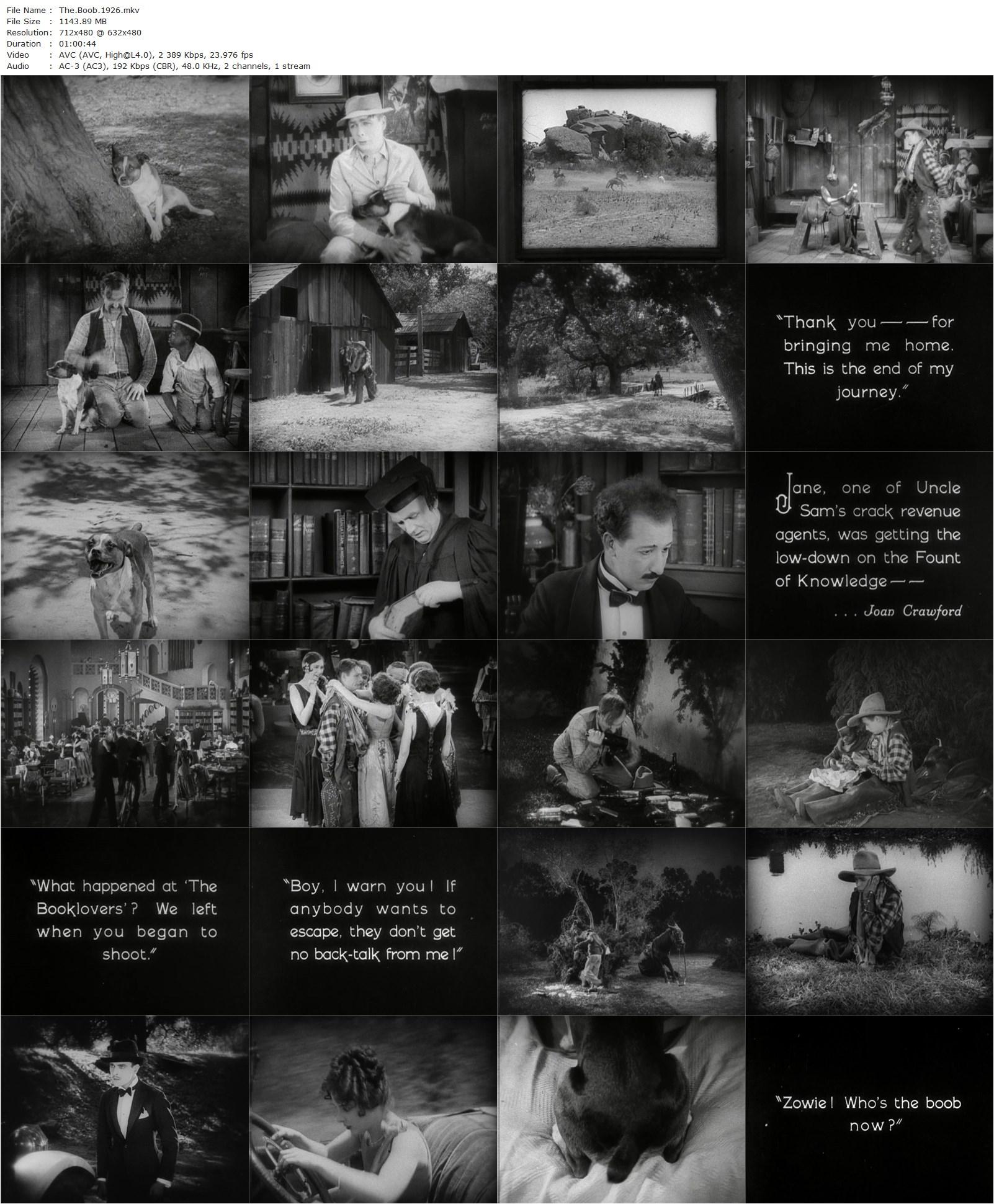 The Boob (1926) William A. Wellman, Gertrude Olmstead, George K. Arthur, Joan Crawford-poster