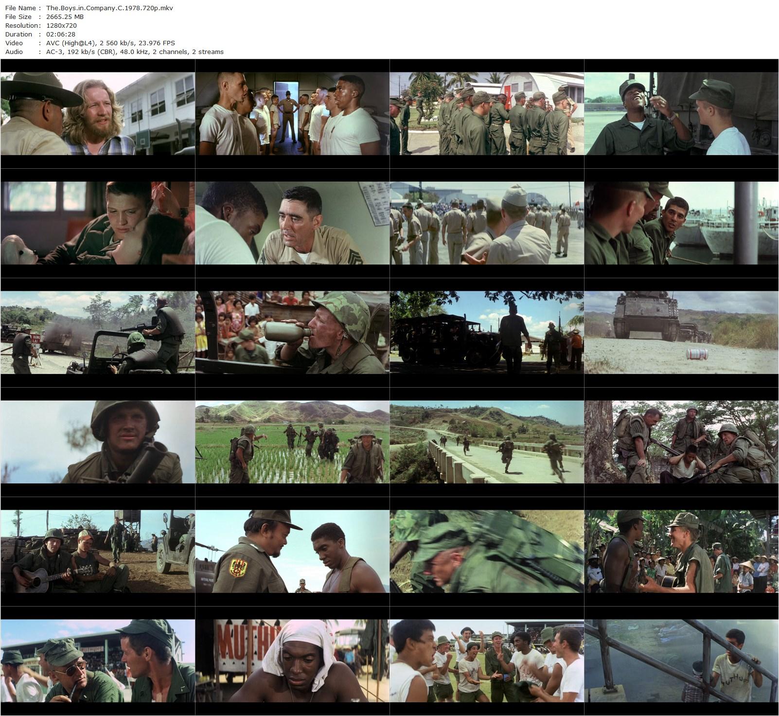 The Boys in Company C (1978) Sidney J. Furie, Stan Shaw, Andrew Stevens, James Canning-poster