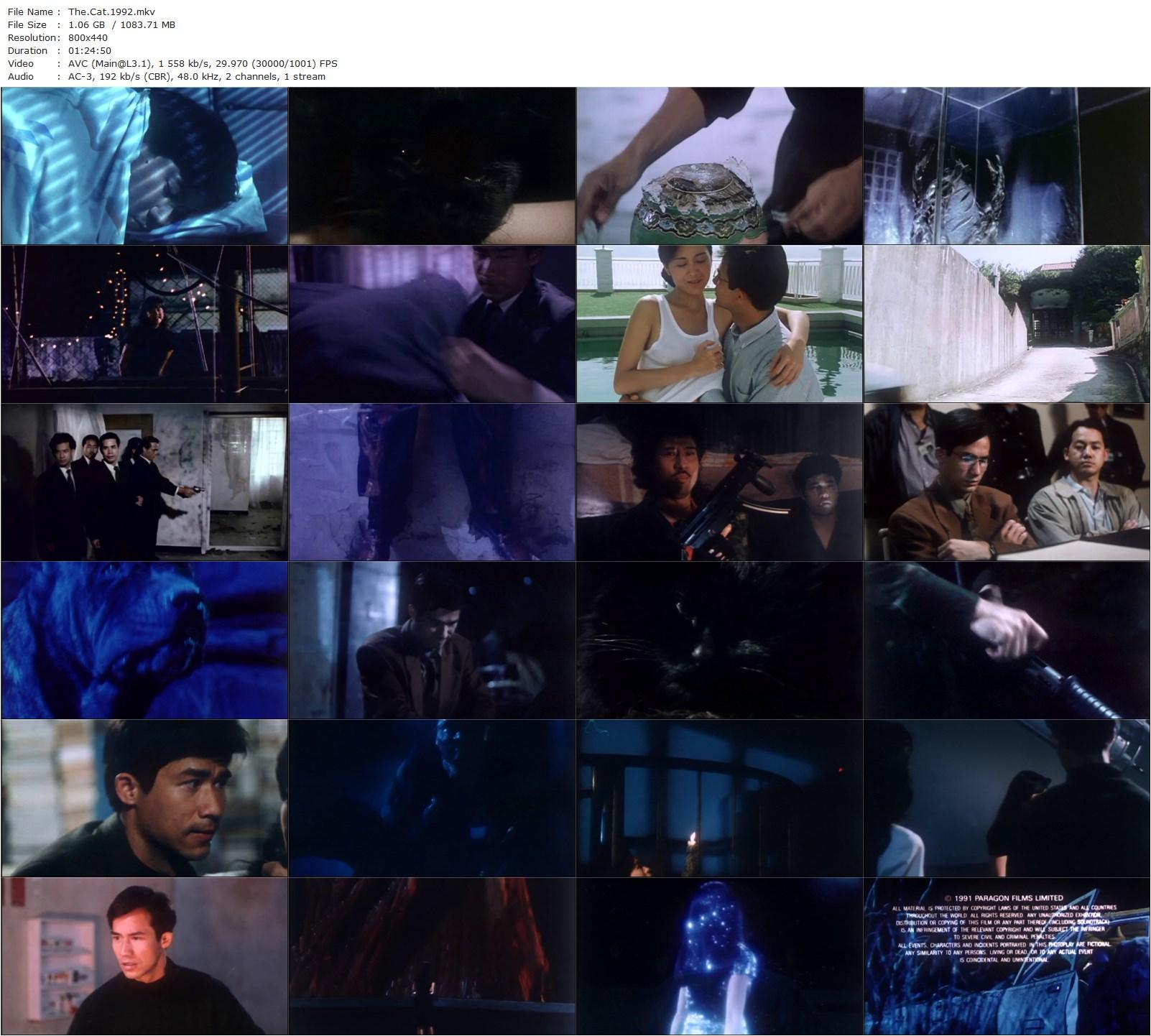 The Cat AKA Lo mau (1992) Ngai Choi Lam, Gloria Yip, Waise Lee, Christine Ng-poster