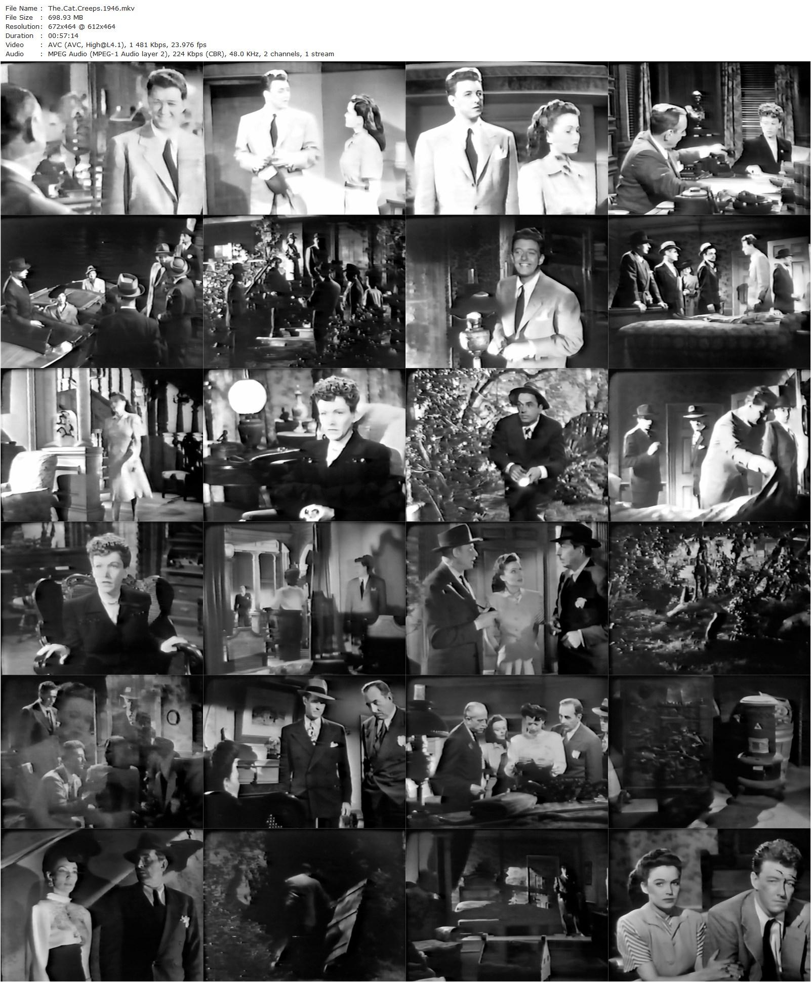 The Cat Creeps (1946) Erle C. Kenton, Noah Beery Jr., Lois Collier, Paul Kelly-poster