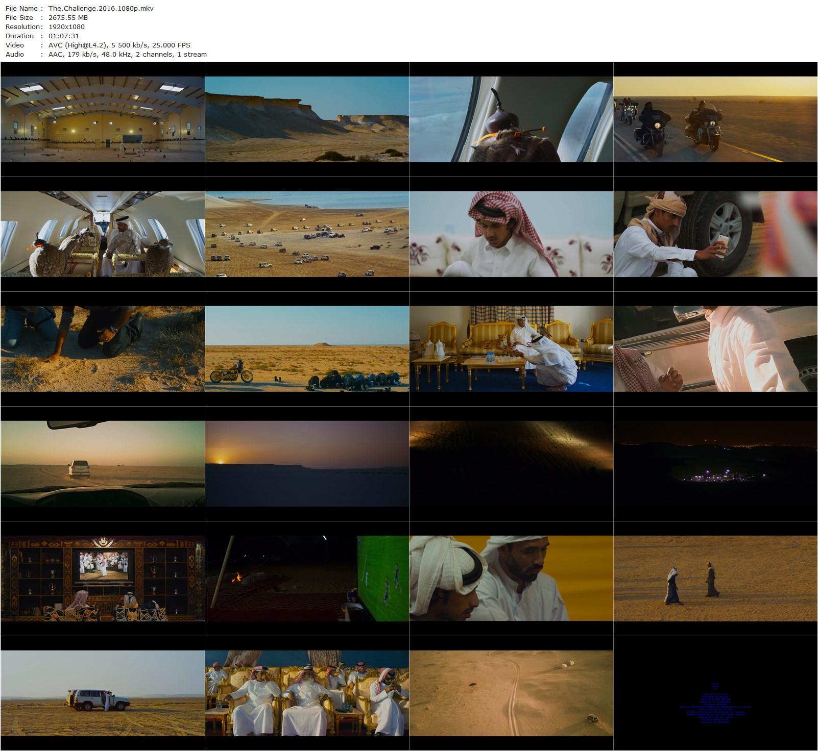 The Challenge (2016) Yuri Ancarani-poster