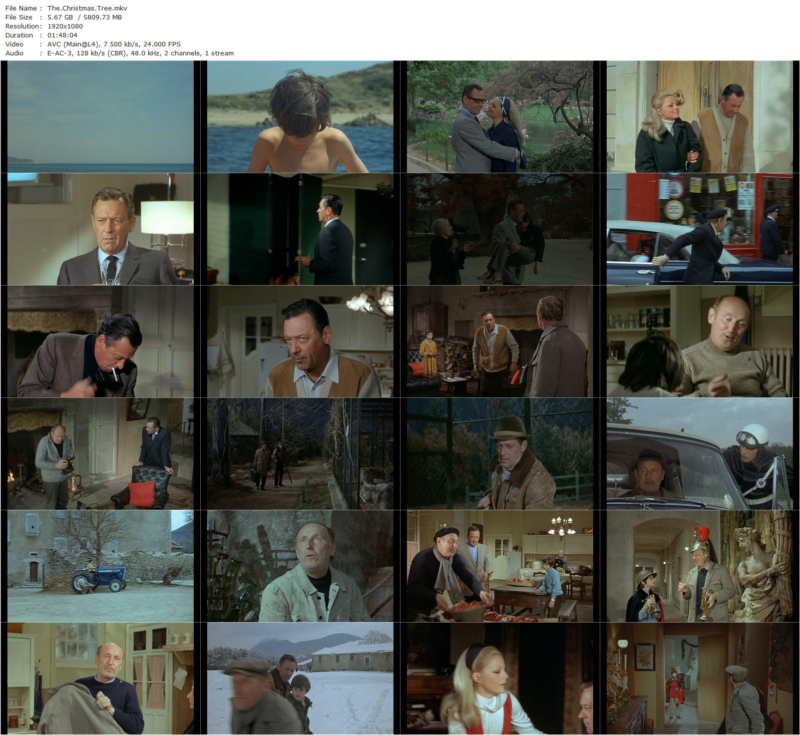 The Christmas Tree AKA L’arbre de Noël (1969) Terence Young, William Holden, Virna Lisi, Bourvil-poster