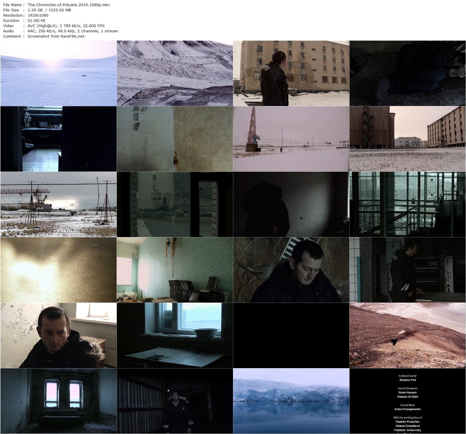 The Chronicles of Polyaris (2014) Christine Reeh, Dmitry Bogomolov-poster