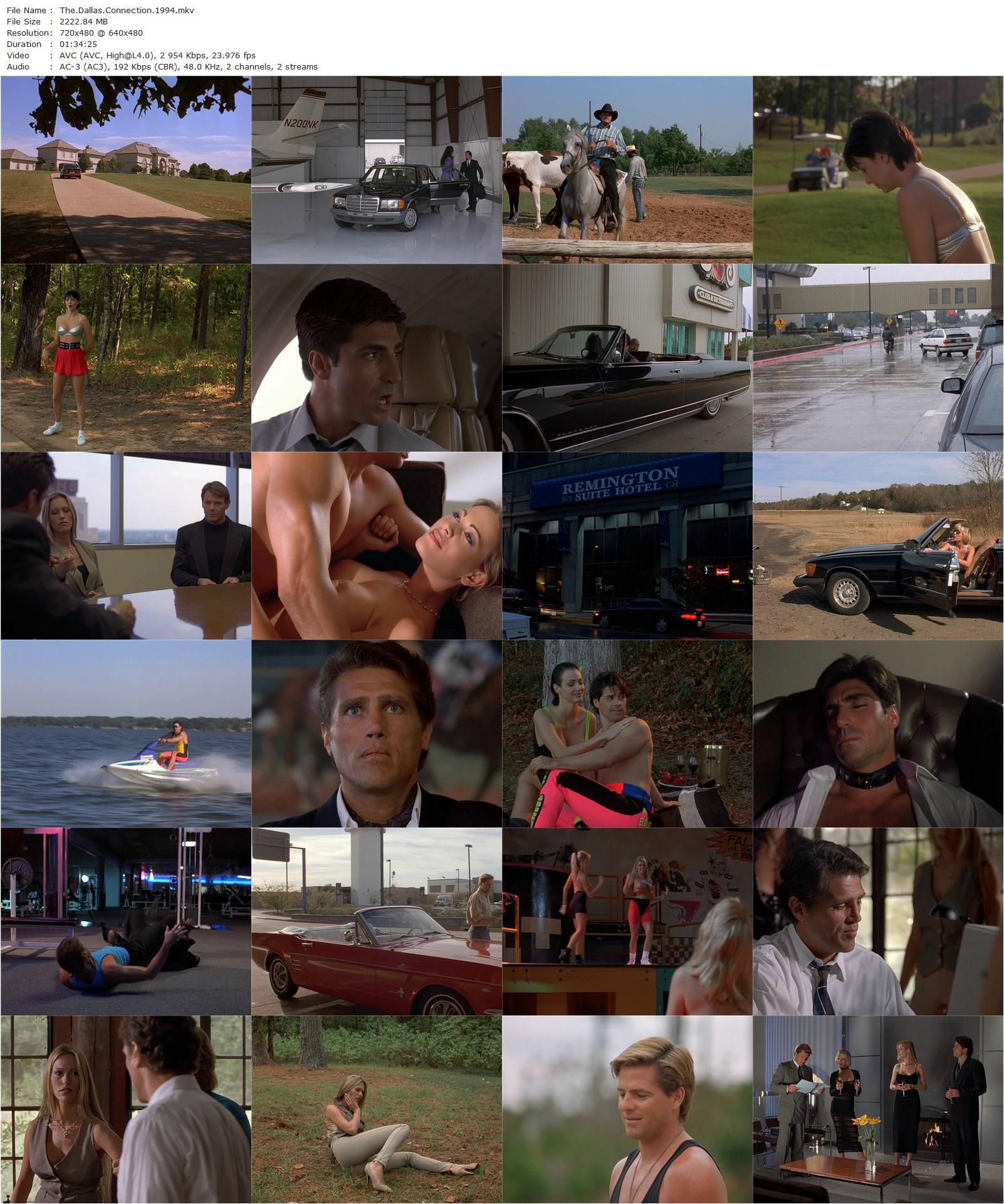 The Dallas Connection (1994) Christian Drew Sidaris, Bruce Penhall, Mark Barriere, Julie Strain-poster