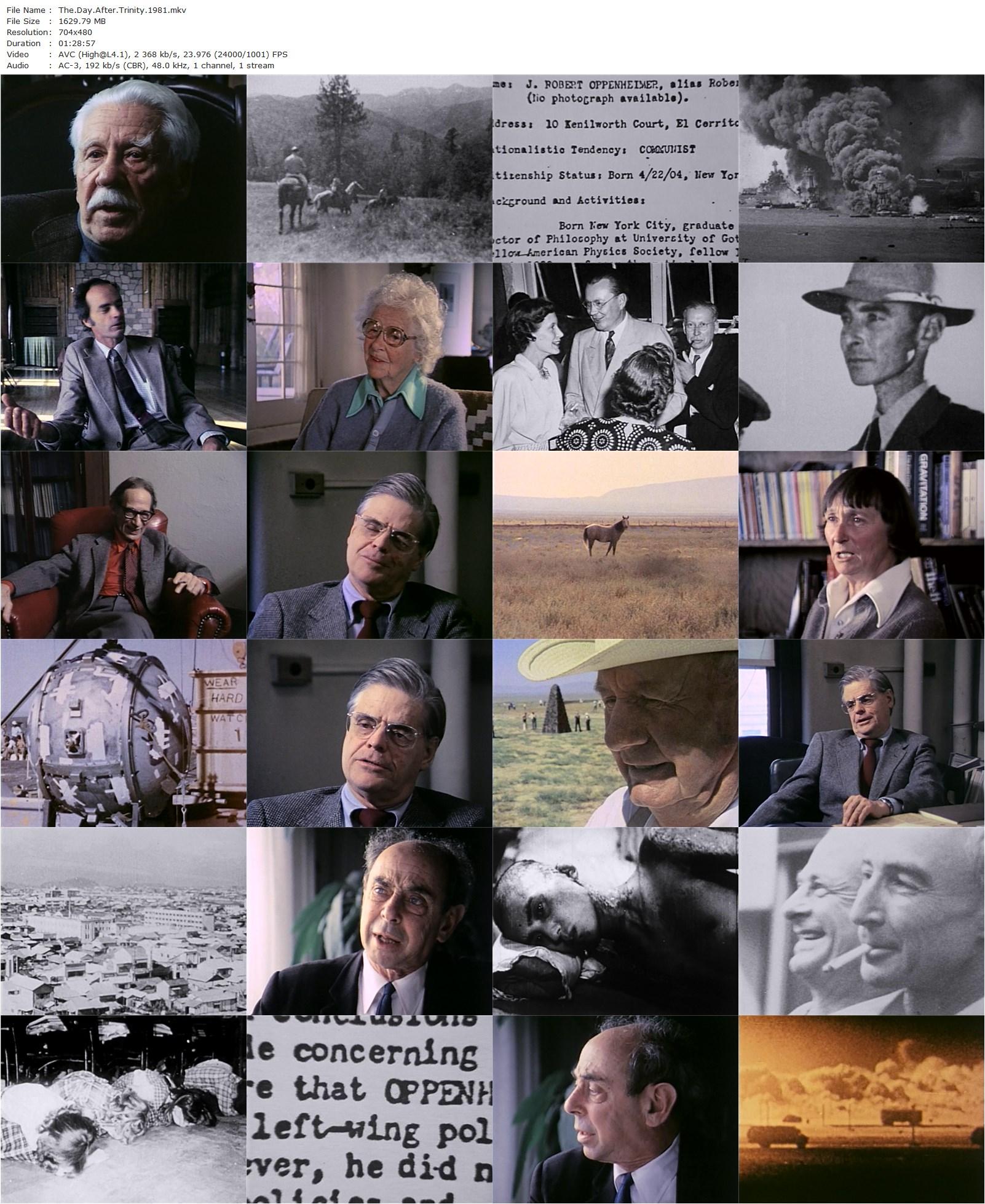 The Day After Trinity (1981) Jon Else, Hans Bethe, Holm Bursom, Haakon Chevalier-poster