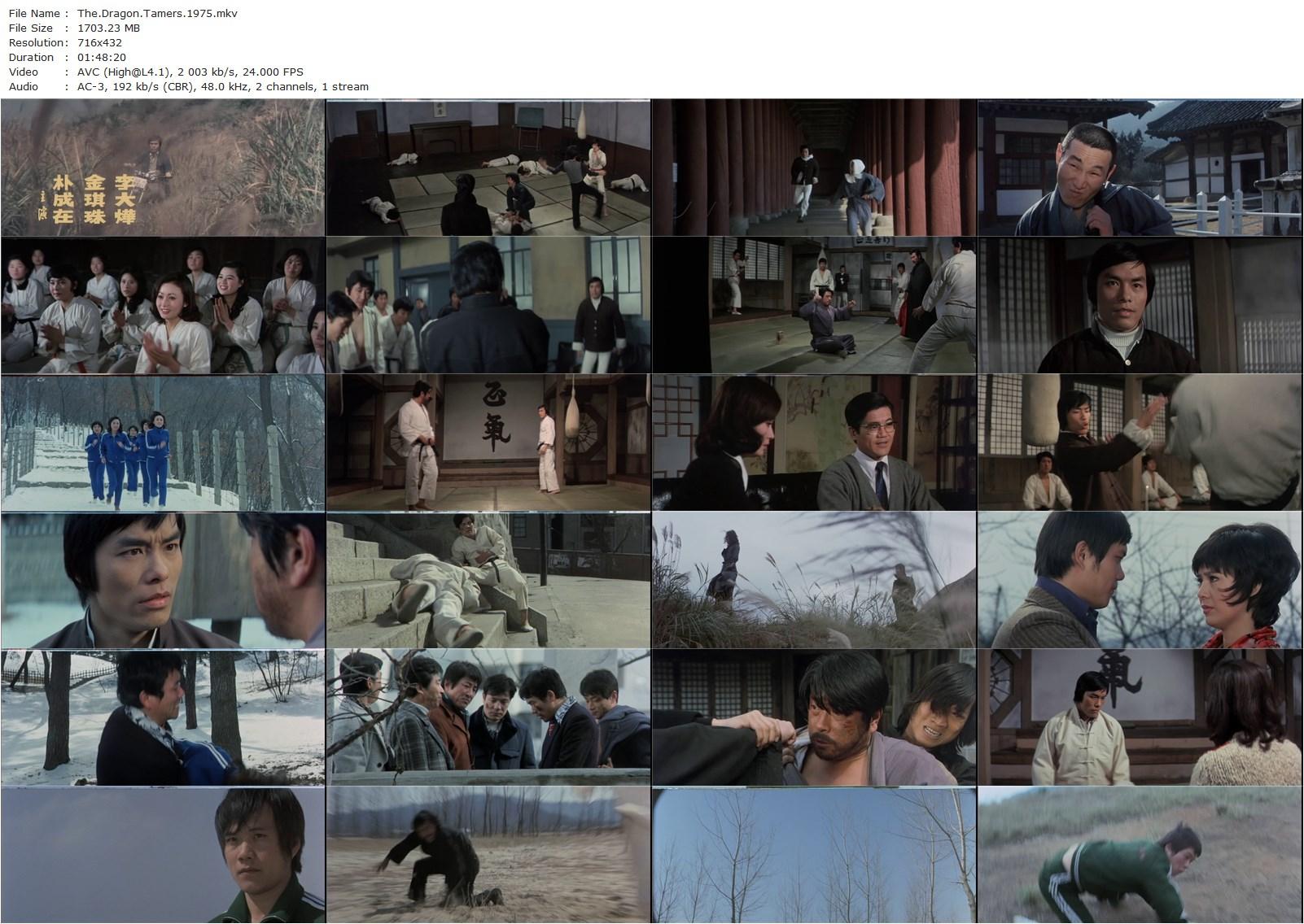 The Dragon Tamers AKA Nu zi tai quan qun ying hui (1975) John Woo, James Tien, Carter Wong, Chang-suk Kim-poster