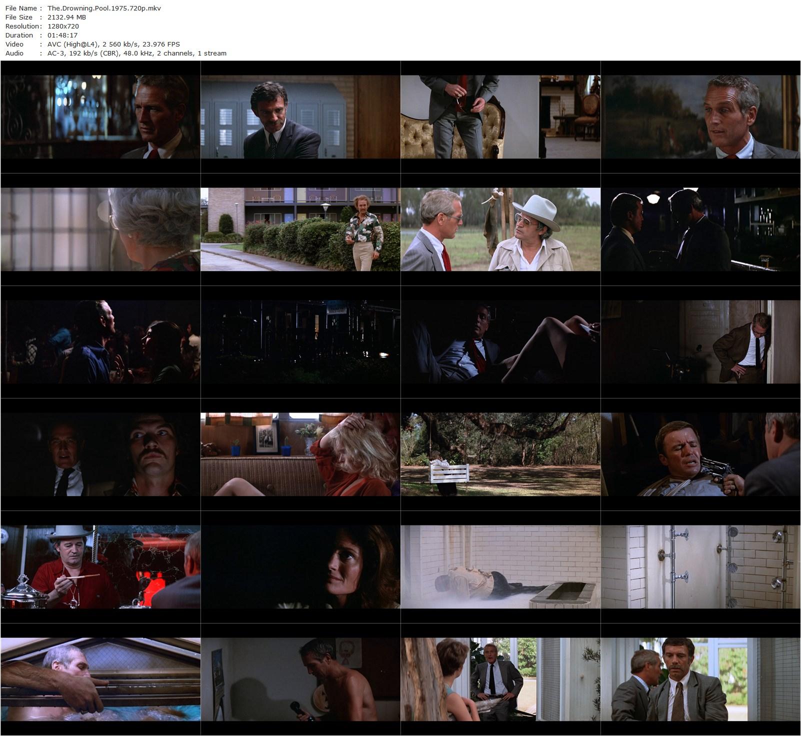 The Drowning Pool (1975) Stuart Rosenberg, Paul Newman, Joanne Woodward, Anthony Franciosa-poster