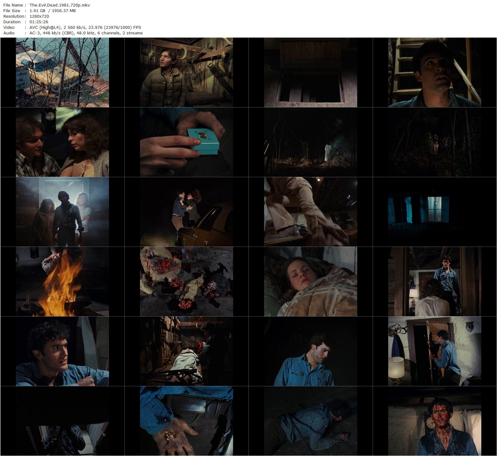 The Evil Dead (1981) Sam Raimi, Bruce Campbell, Ellen Sandweiss, Richard DeManincor-poster