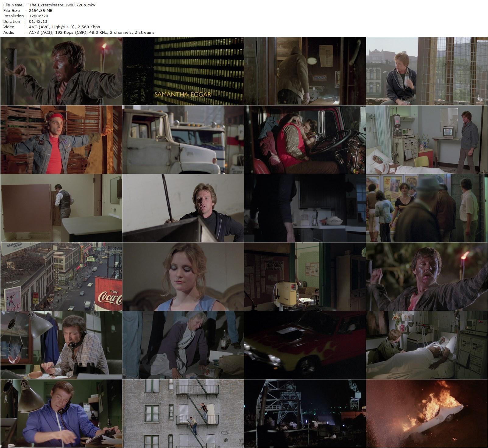 The Exterminator (1980) James Glickenhaus, Robert Ginty, Samantha Eggar, Christopher George-poster