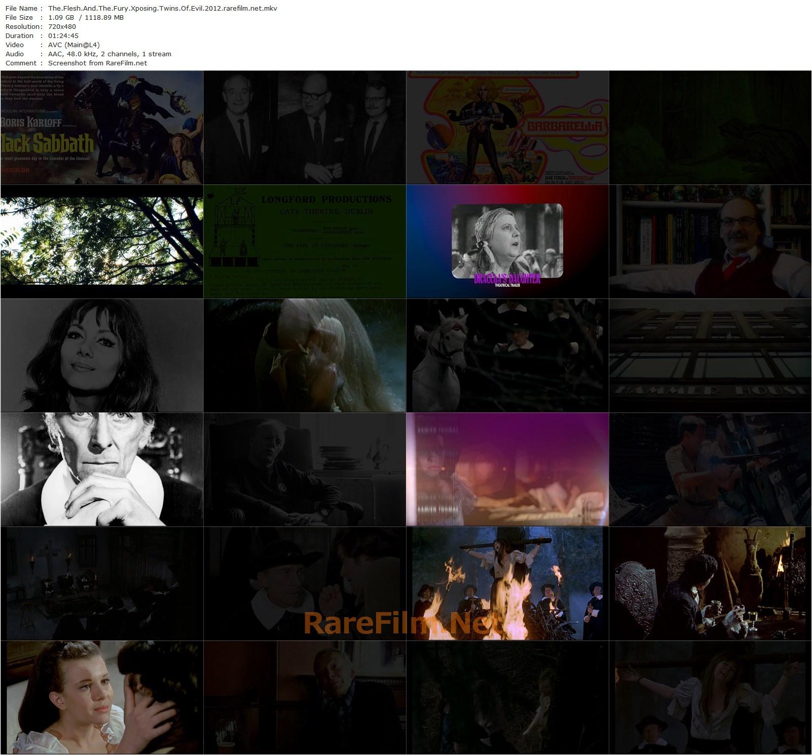 The Flesh and the Fury: X-posing Twins of Evil (2012) Daniel Griffith, Wayne Kinsey, Joe Dante, Kim Newman-poster