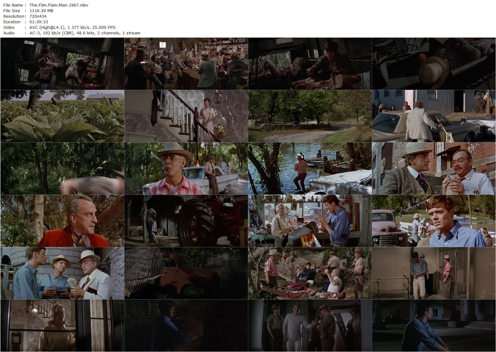 The Flim-Flam Man (1967) Irvin Kershner, George C. Scott, Sue Lyon, Harry Morgan-poster