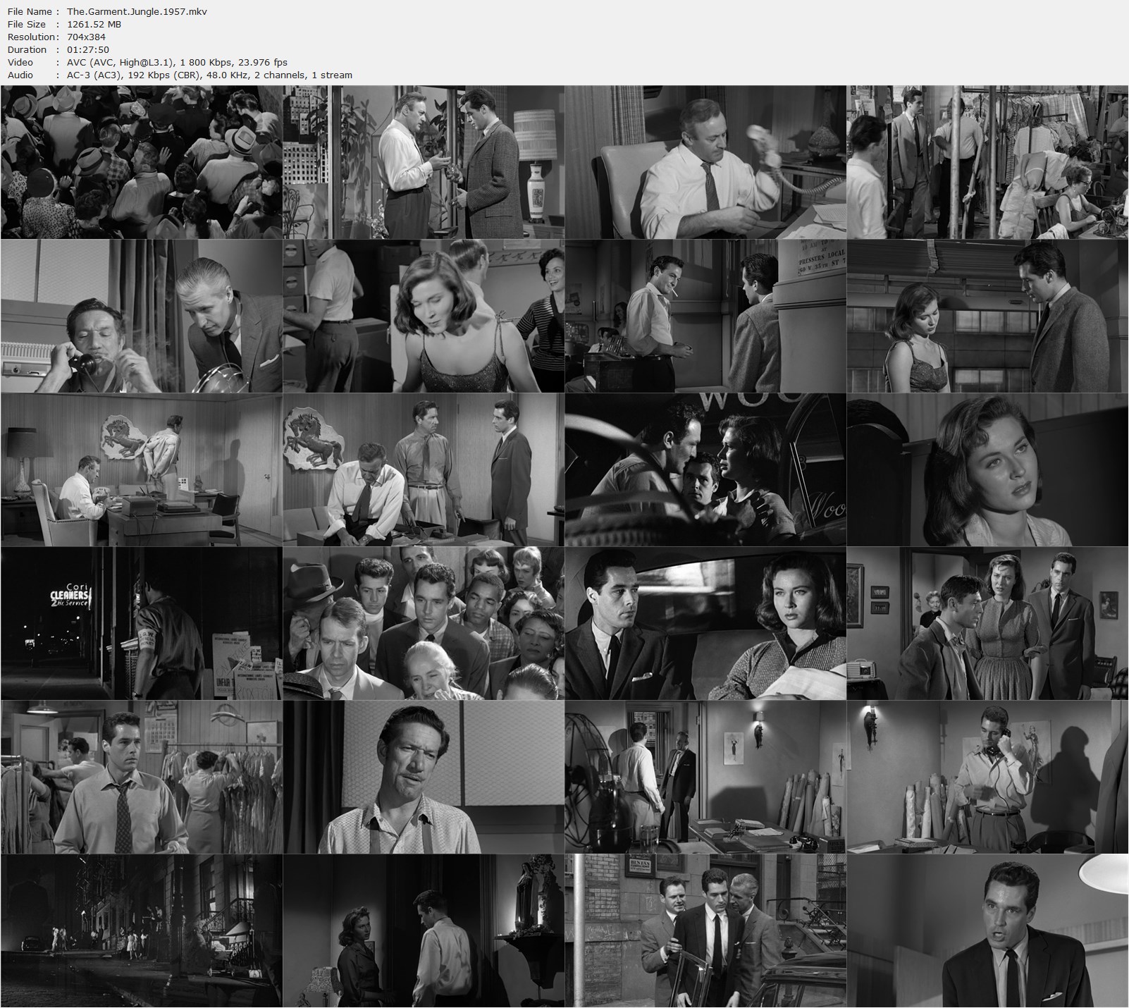 The Garment Jungle (1957) Vincent Sherman, Robert Aldrich, Lee J. Cobb, Kerwin Mathews, Gia Scala, Crime, Drama, Film-Noir, Thriller-poster