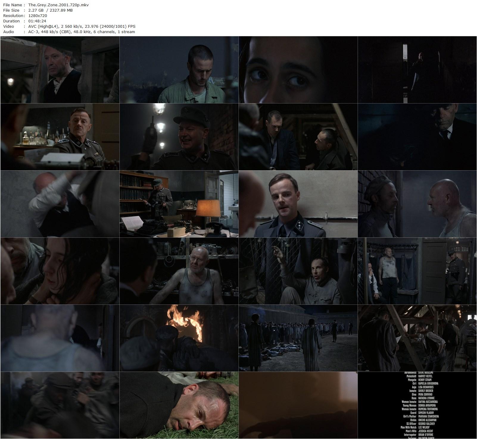 The Grey Zone (2001) Tim Blake Nelson, David Arquette, Velizar Binev, David Chandler-poster