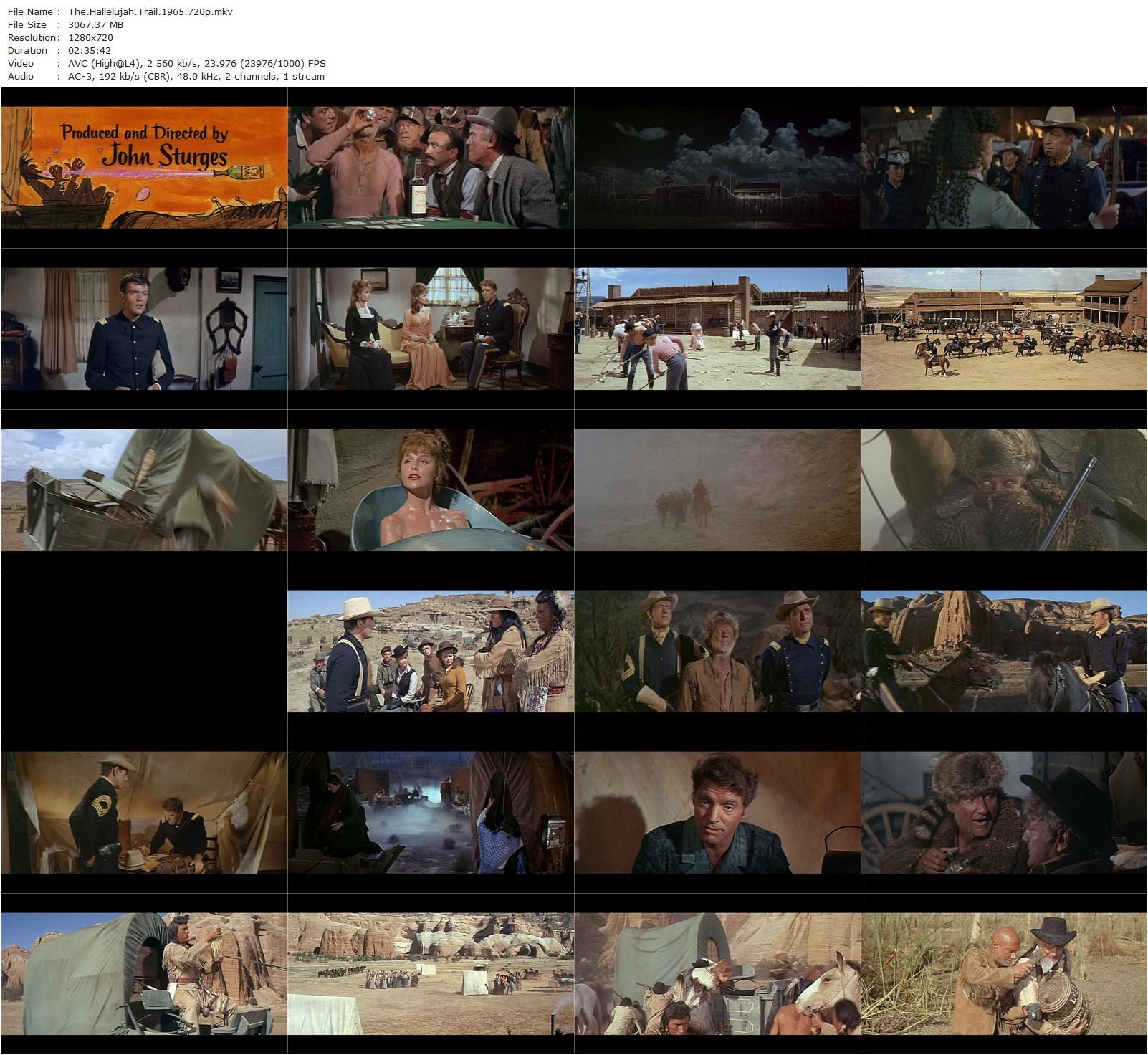 The Hallelujah Trail (1965) John Sturges, Burt Lancaster, Lee Remick, Jim Hutton-poster