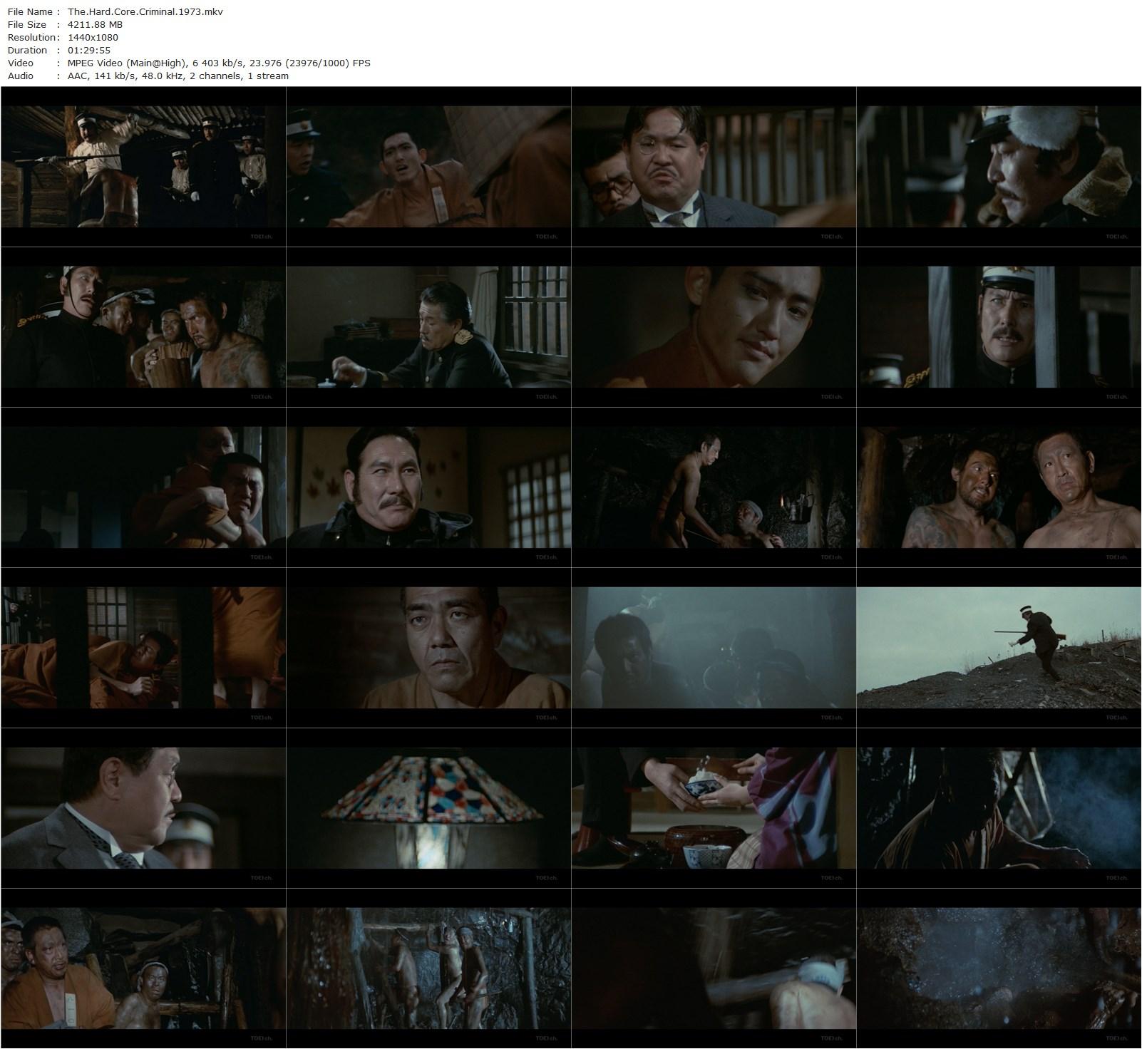 The Hardcore Criminal AKA Sân ike kangôku: kyo akû han (1973) Shigehiro Ozawa, Kôji Tsuruta, Jô Shishido, Gorô Ibuki-poster