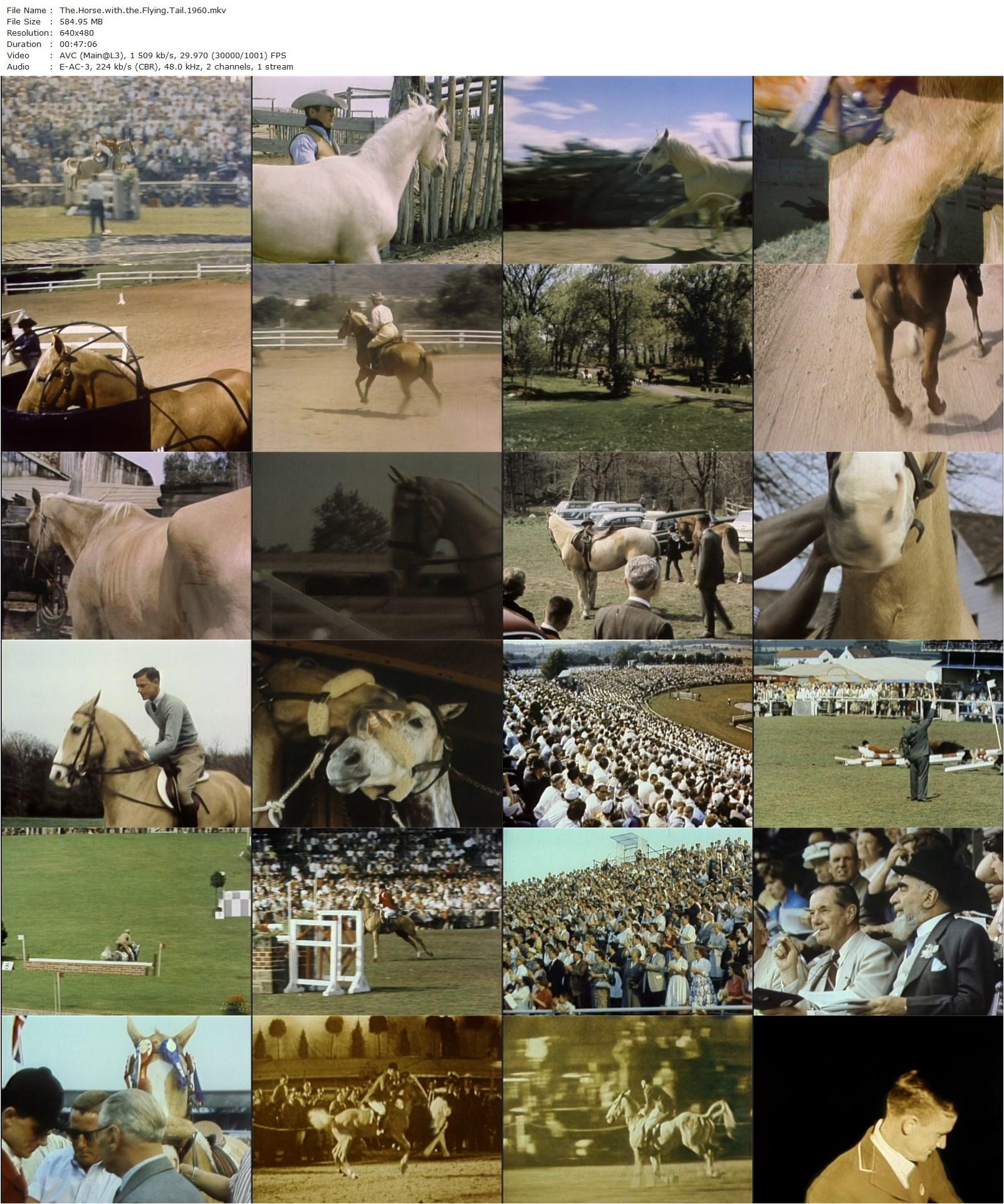 The Horse with the Flying Tail (1960) Larry Lansburgh, George Fenneman, Dorian Williams, Slim Pickens-poster