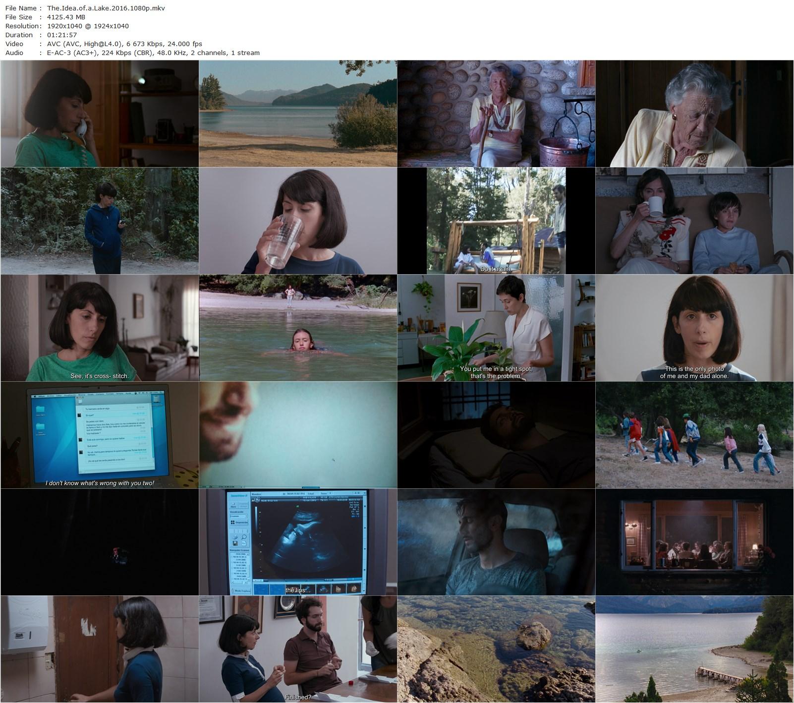 The Idea of a Lake (2016) Milagros Mumenthaler, Juan Barberini, Rosario Bléfari, Carla Crespo-poster