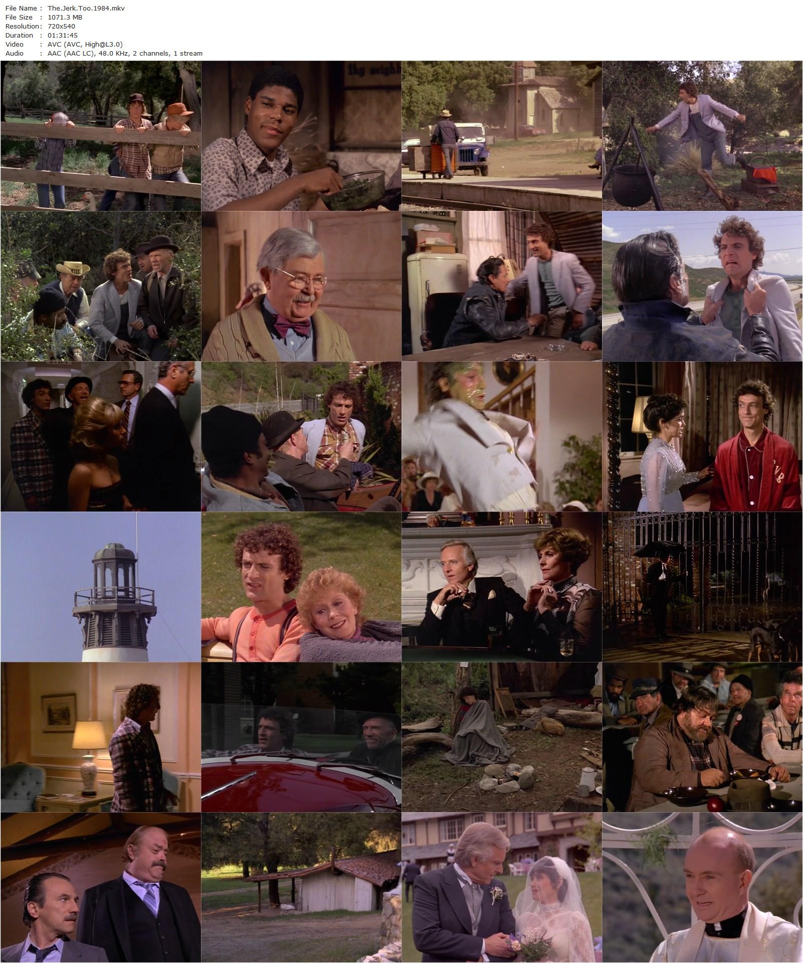 The Jerk, Too (1984) Michael Schultz, Mark Blankfield, Ray Walston, Robert Sampson-poster