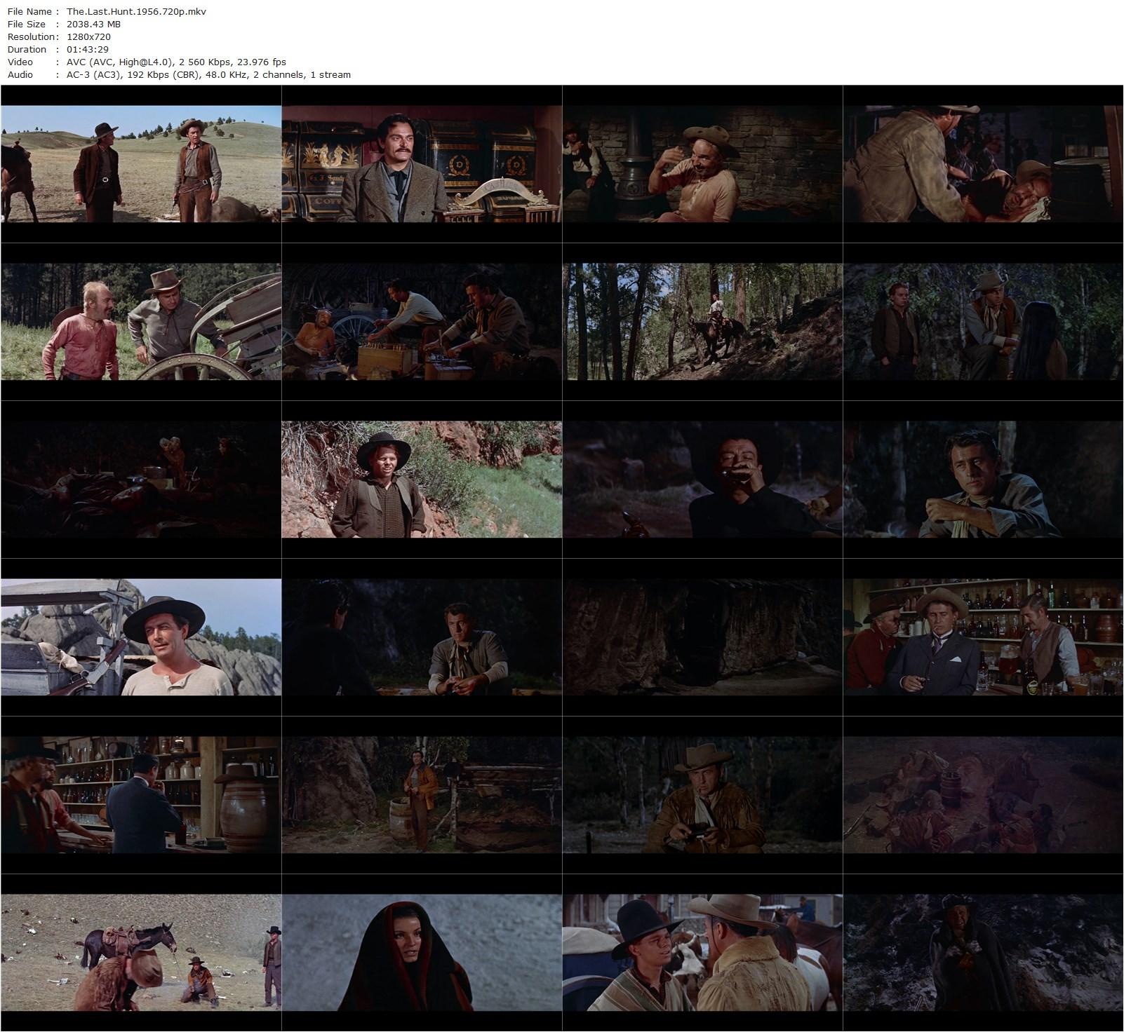 The Last Hunt (1956) Richard Brooks, Robert Taylor, Stewart Granger, Lloyd Nolan-poster