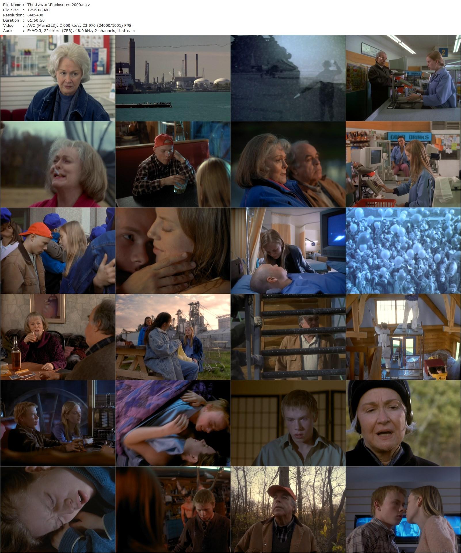 The Law of Enclosures (2000) John Greyson, Sarah Polley, Diane Ladd, Brendan Fletcher-poster