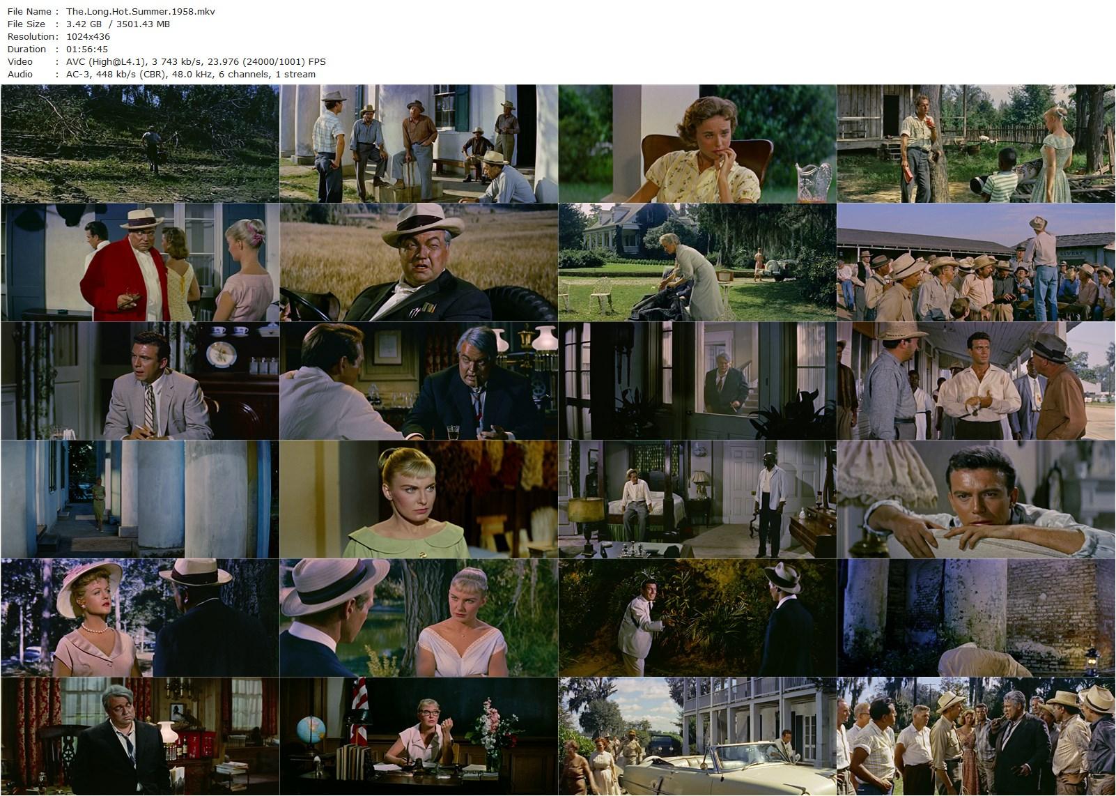 The Long, Hot Summer (1958) Martin Ritt, Paul Newman, Joanne Woodward, Anthony Franciosa-poster