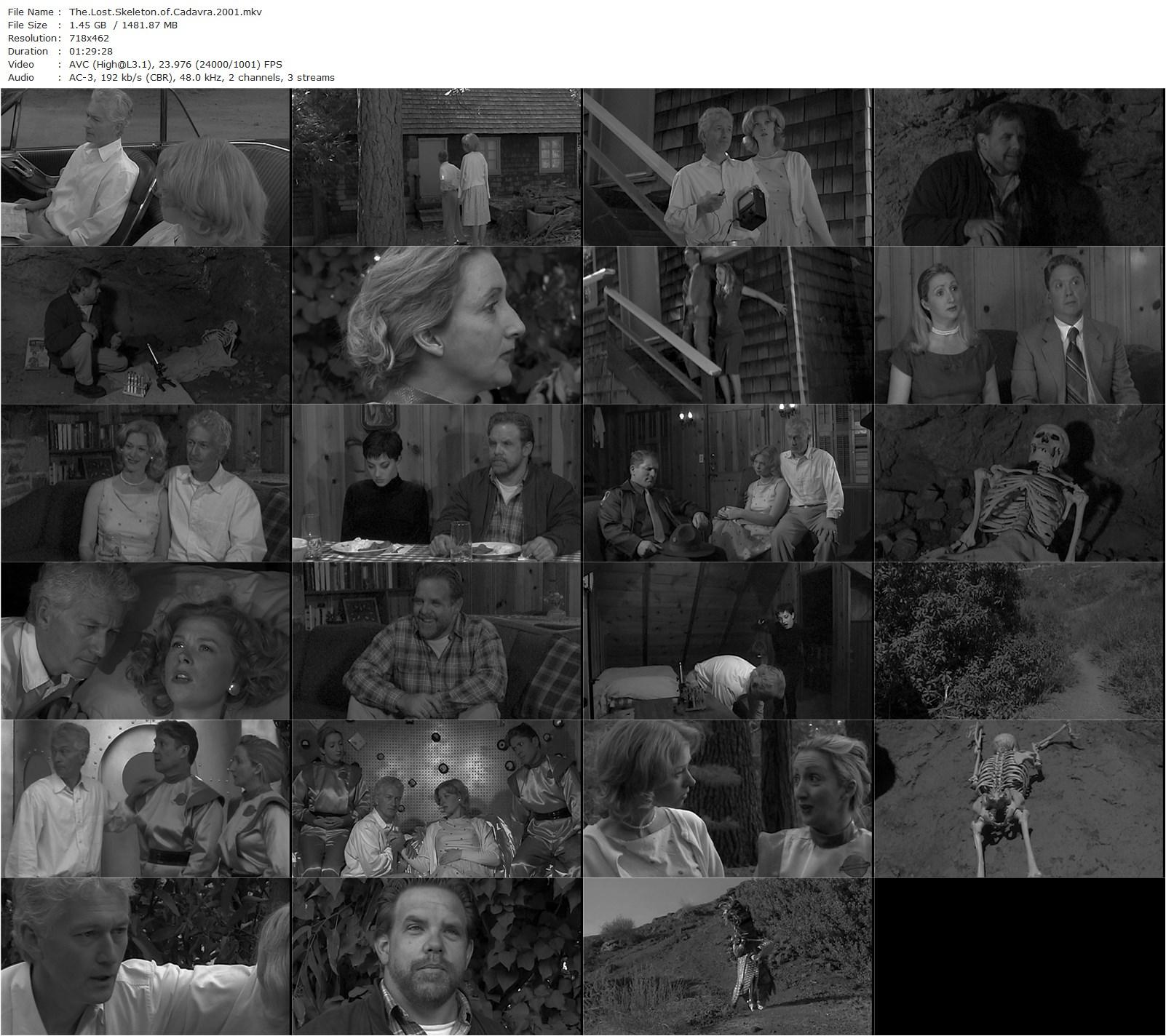 The Lost Skeleton of Cadavra (2001) Larry Blamire, Fay Masterson, Brian Howe-poster