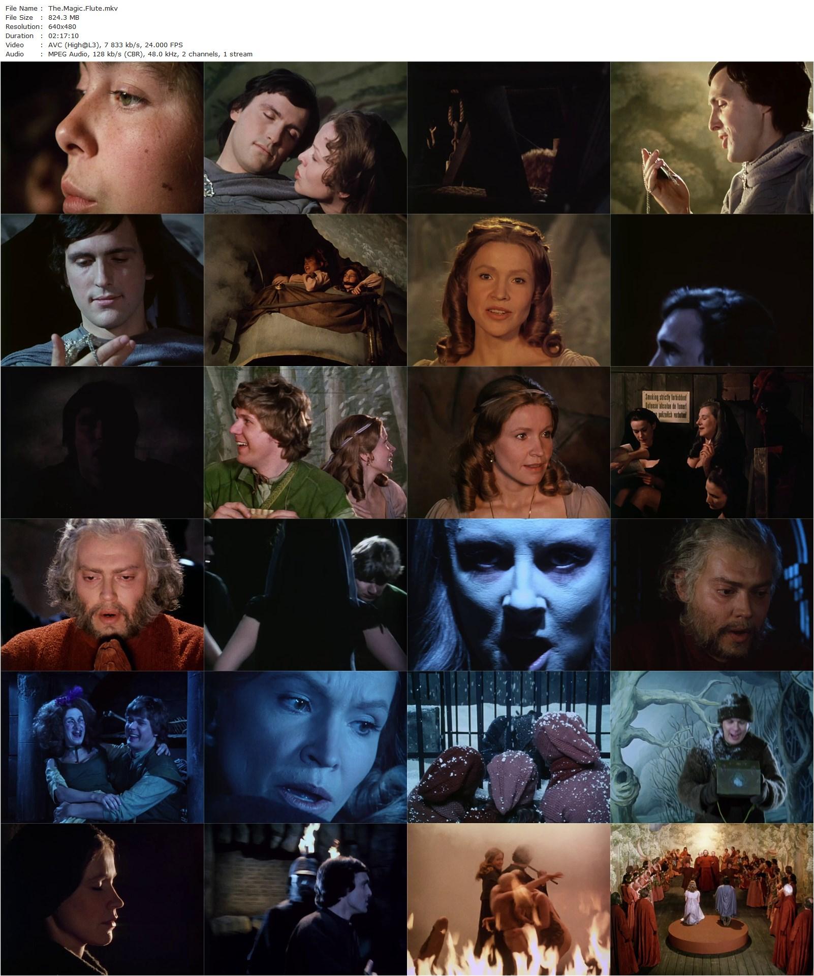 The Magic Flute (2006) Kenneth Branagh, Joseph Kaiser, Amy Carson, Ben Davis-poster