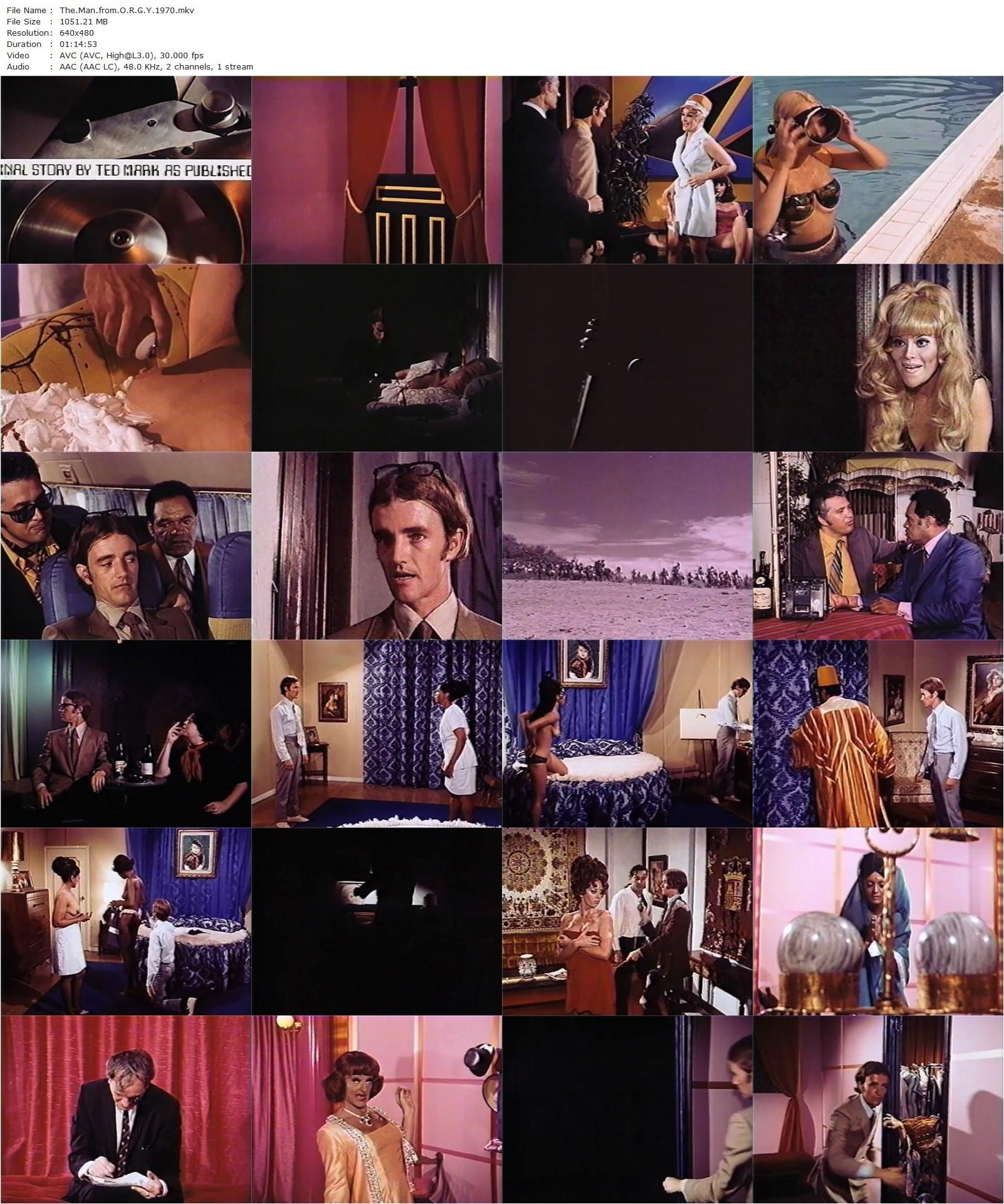 The Man from O.R.G.Y. (1970) James Hill, Robert Walker Jr., Steve Rossi, Slappy White-poster