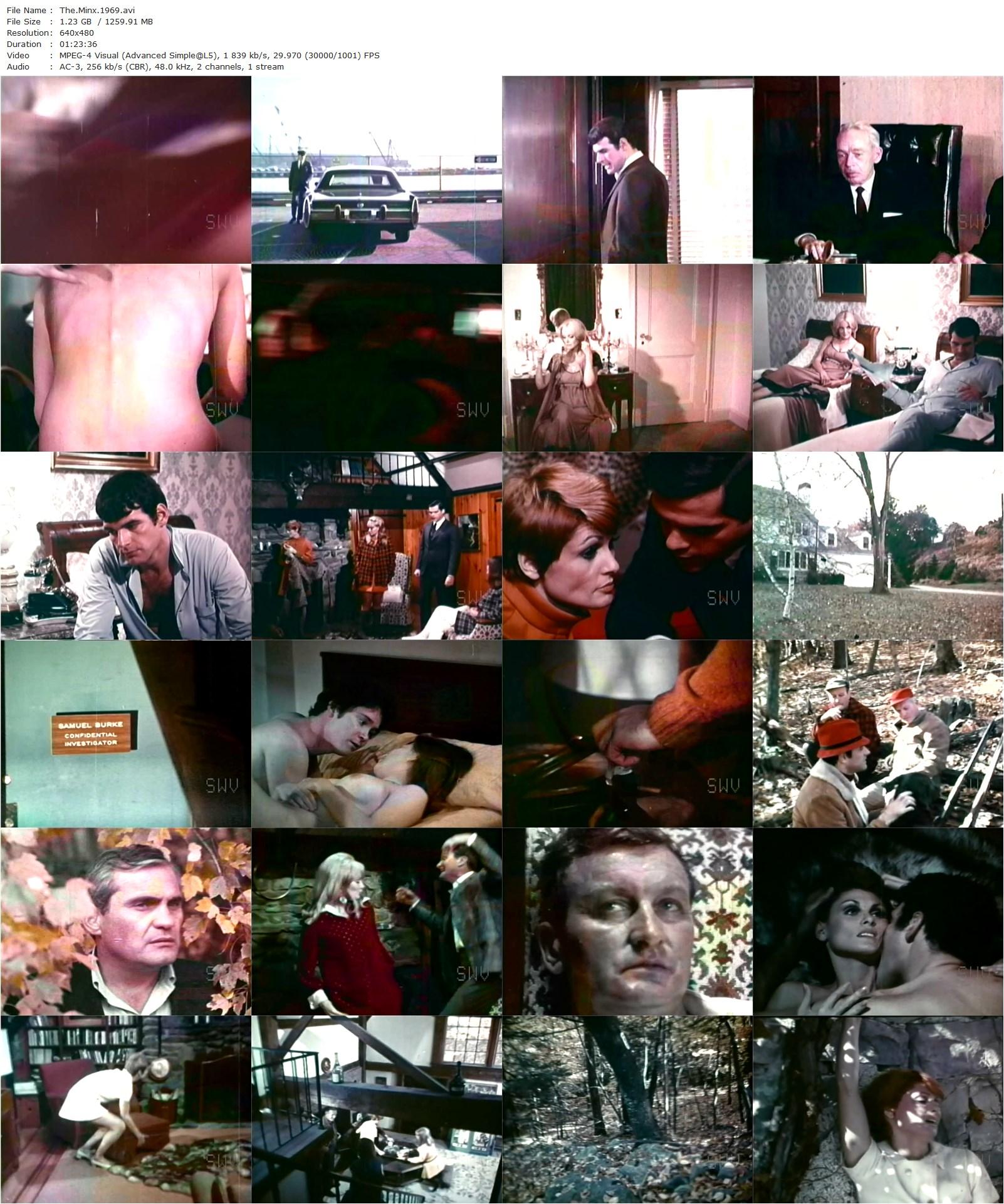 The Minx (1969) Raymond Jacobs, Jan Sterling, Robert Rodan, Shirley Parker-poster