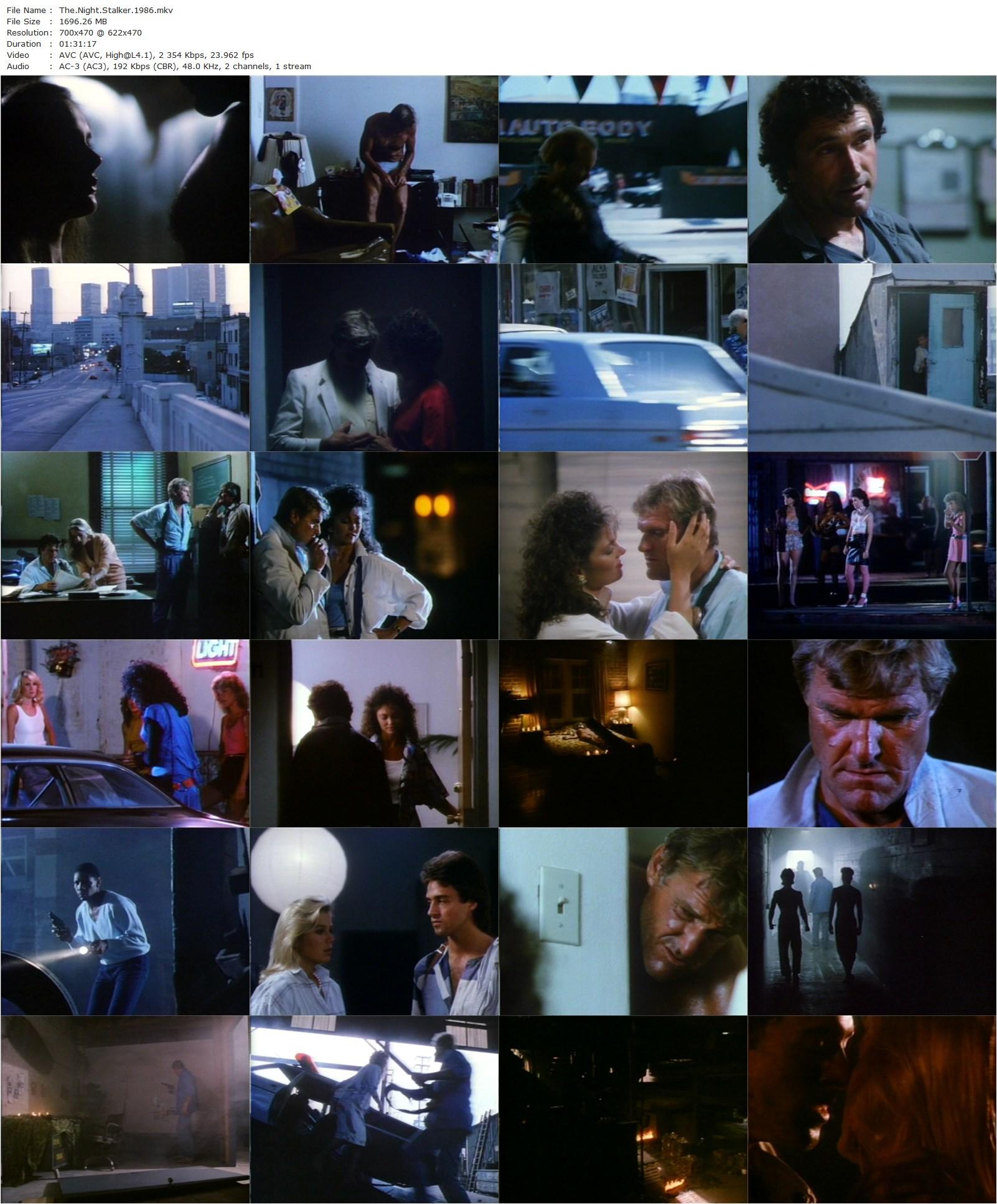 The Night Stalker (1986) Max Kleven, Charles Napier, Michelle Reese, Katherine Kelly Lang-poster