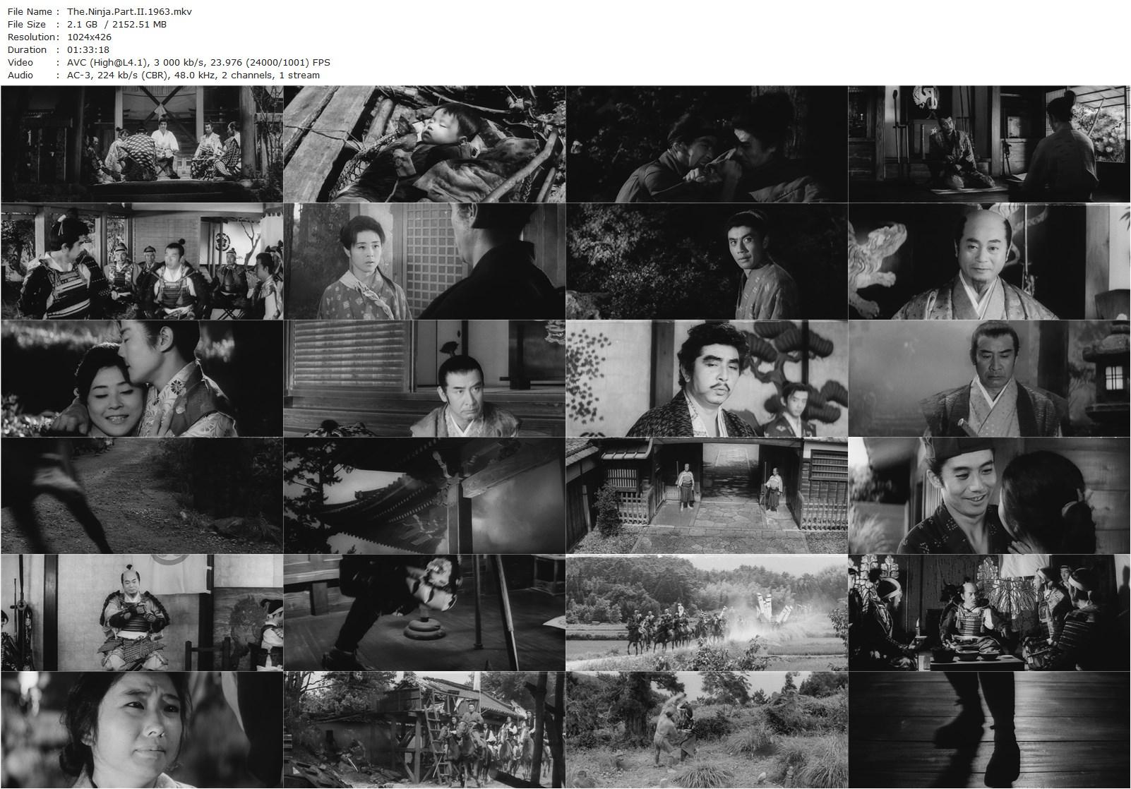 Shinobi No Mono 2: Vengeance / Zoku shinobi no mono (1963) Satsuo Yamamoto, Raizô Ichikawa, Sô Yamamura, Shiho Fujimura-poster