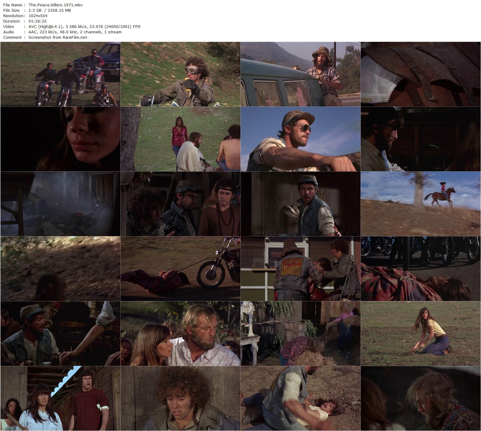 The Peace Killers (1971) Douglas Schwartz, Clint Ritchie, Jess Walton, Paul Prokop-poster