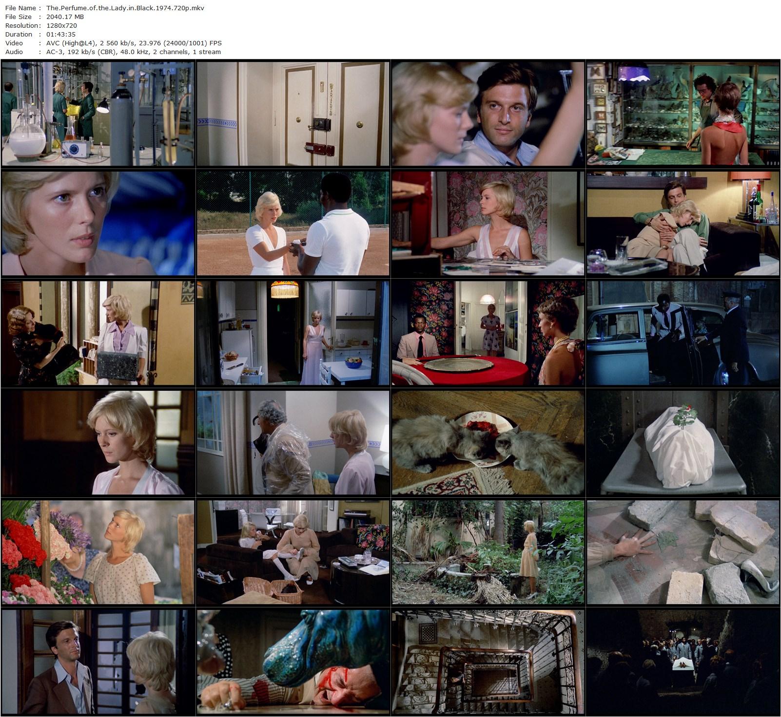 The Perfume of the Lady in Black AKA Il profumo della signora in nero (1974) Francesco Barilli, Luc Merenda, Leonora Fani, Francisco Rabal-poster