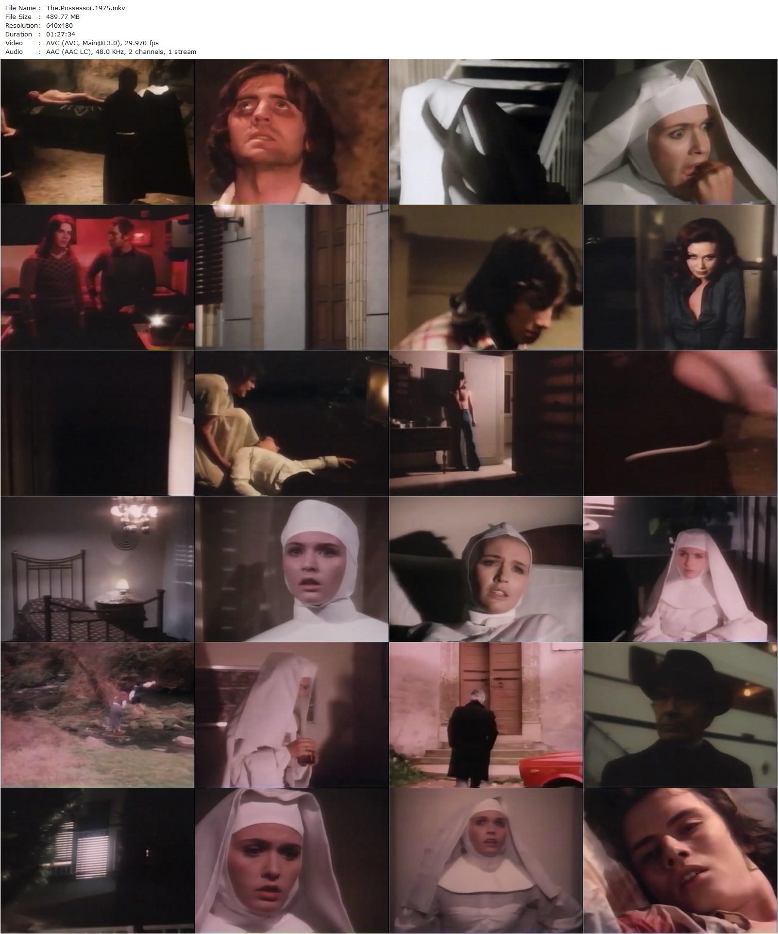 The Possessor (1975) Franco Lo Cascio, Angelo Pannacciò, Richard Conte, Françoise Prévost, Patrizia Gori-poster