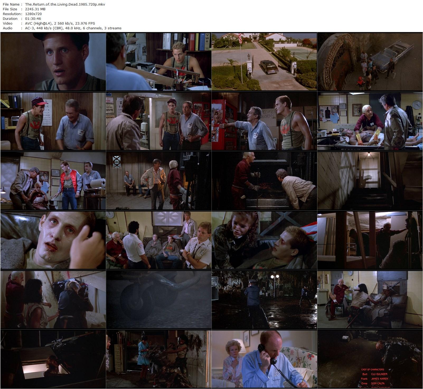 The Return of the Living Dead (1985) Dan O’Bannon, Clu Gulager, James Karen, Don Calfa-poster