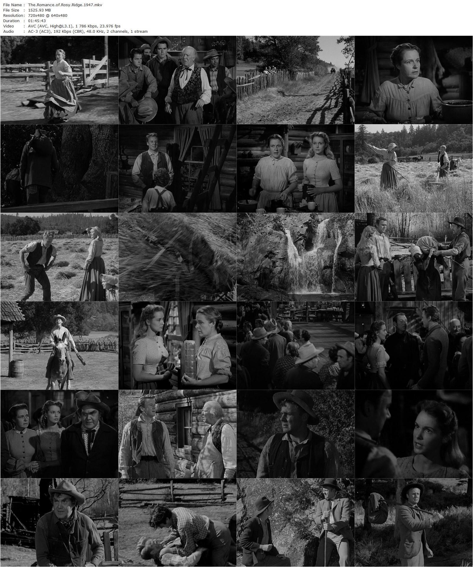 The Romance of Rosy Ridge (1947) Roy Rowland, Van Johnson, Thomas Mitchell, Janet Leigh-poster