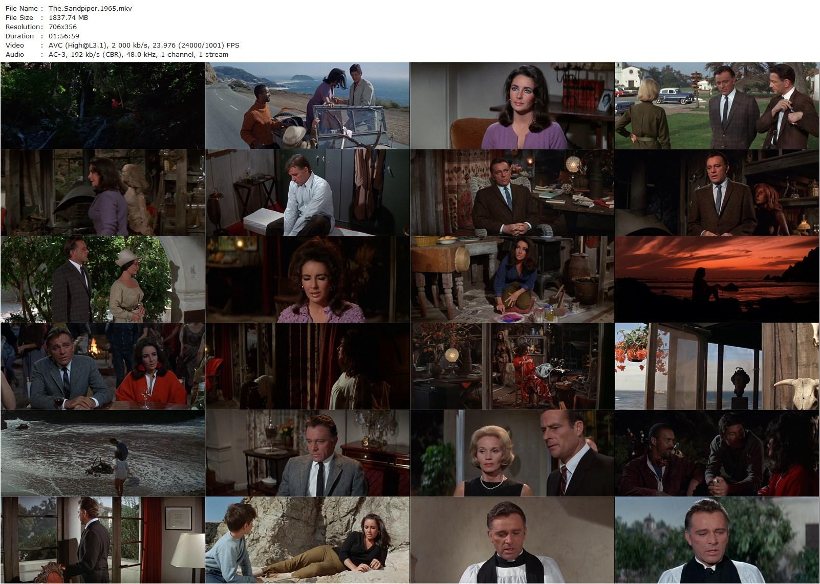 The Sandpiper (1965) Vincente Minnelli, Elizabeth Taylor, Richard Burton, Eva Marie Saint-poster