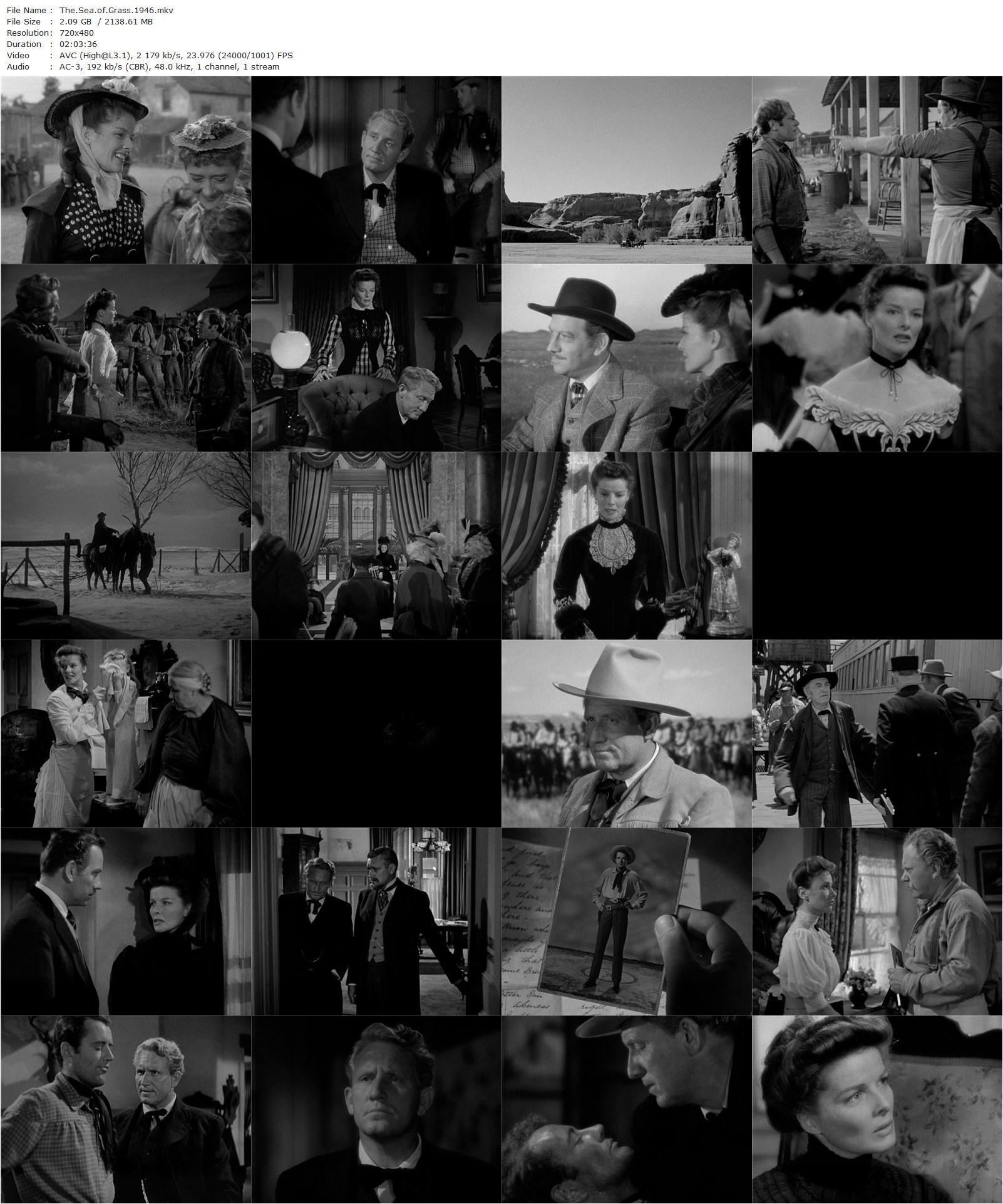 The Sea of Grass (1947) Elia Kazan, Katharine Hepburn, Spencer Tracy, Robert Walker-poster