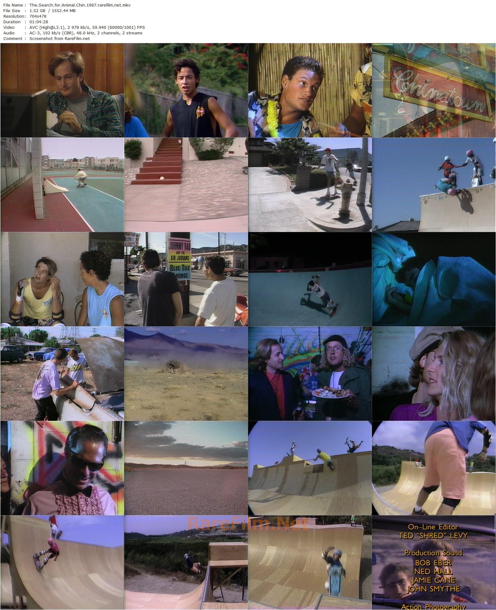 The Search for Animal Chin (1987) Stacy Peralta-poster