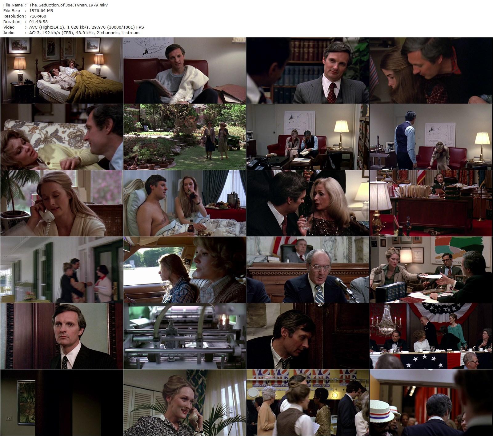 The Seduction of Joe Tynan (1979) Jerry Schatzberg, Alan Alda, Barbara Harris, Meryl Streep-poster