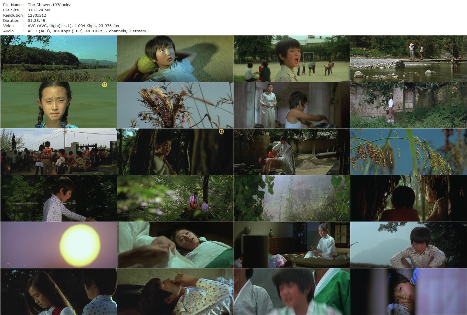 The Shower (1979) Young Nam Ko, Yeong-su Lee, Yun-suk Jo, Shin-jae Kim-poster