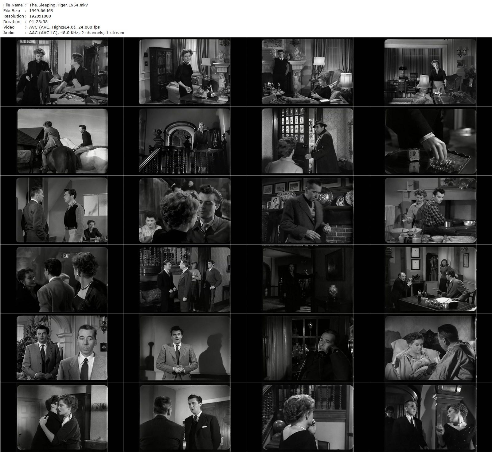 The Sleeping Tiger (1954) Joseph Losey, Dirk Bogarde, Alexis Smith, Alexander Knox-poster