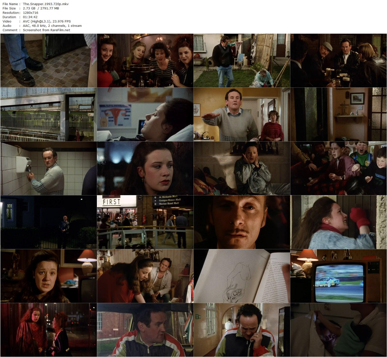 The Snapper (1993) Stephen Frears, Colm Meaney, Tina Kellegher, Ruth McCabe-poster