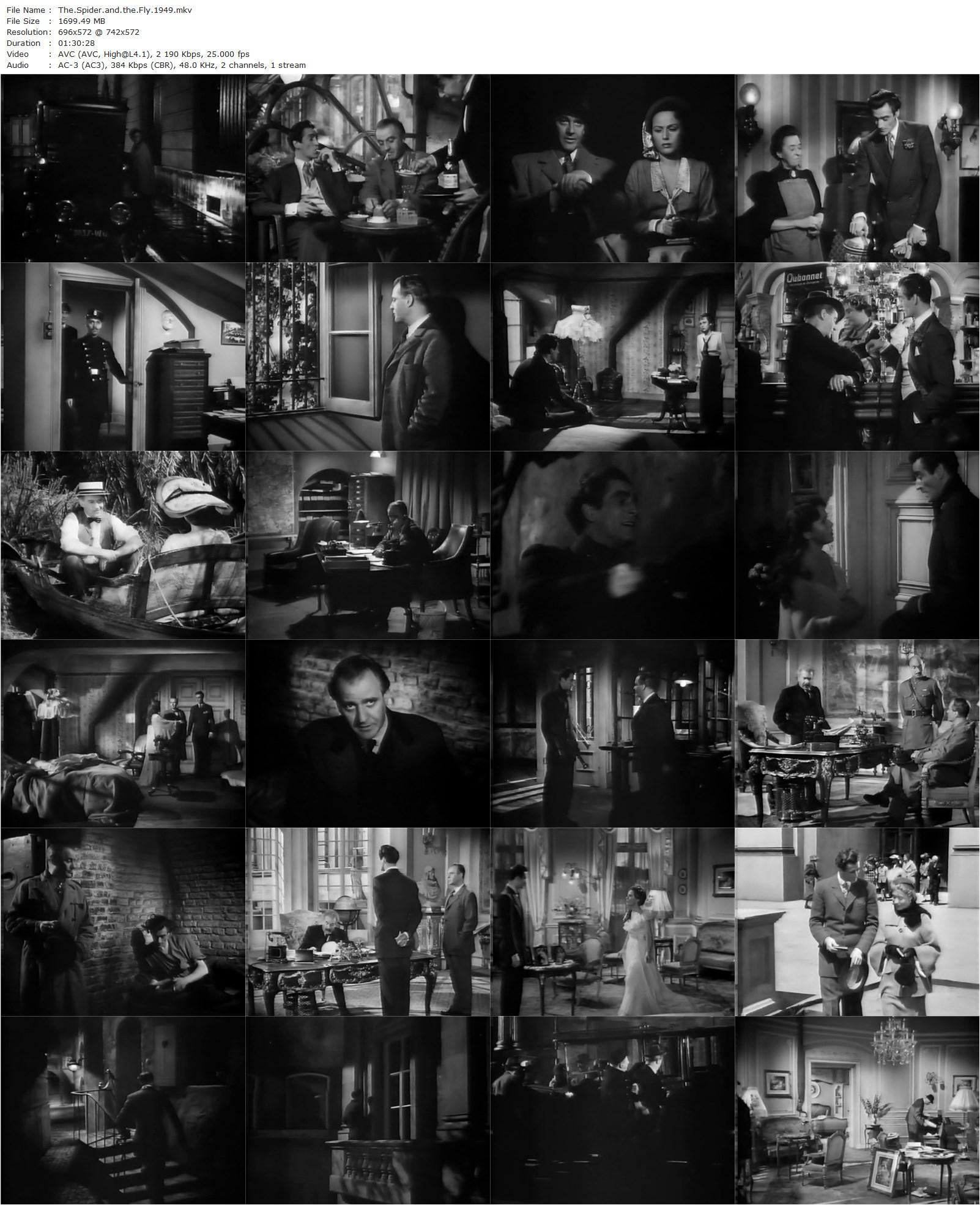 The Spider and the Fly (1949) Robert Hamer, Eric Portman, Guy Rolfe, Nadia Gray-poster